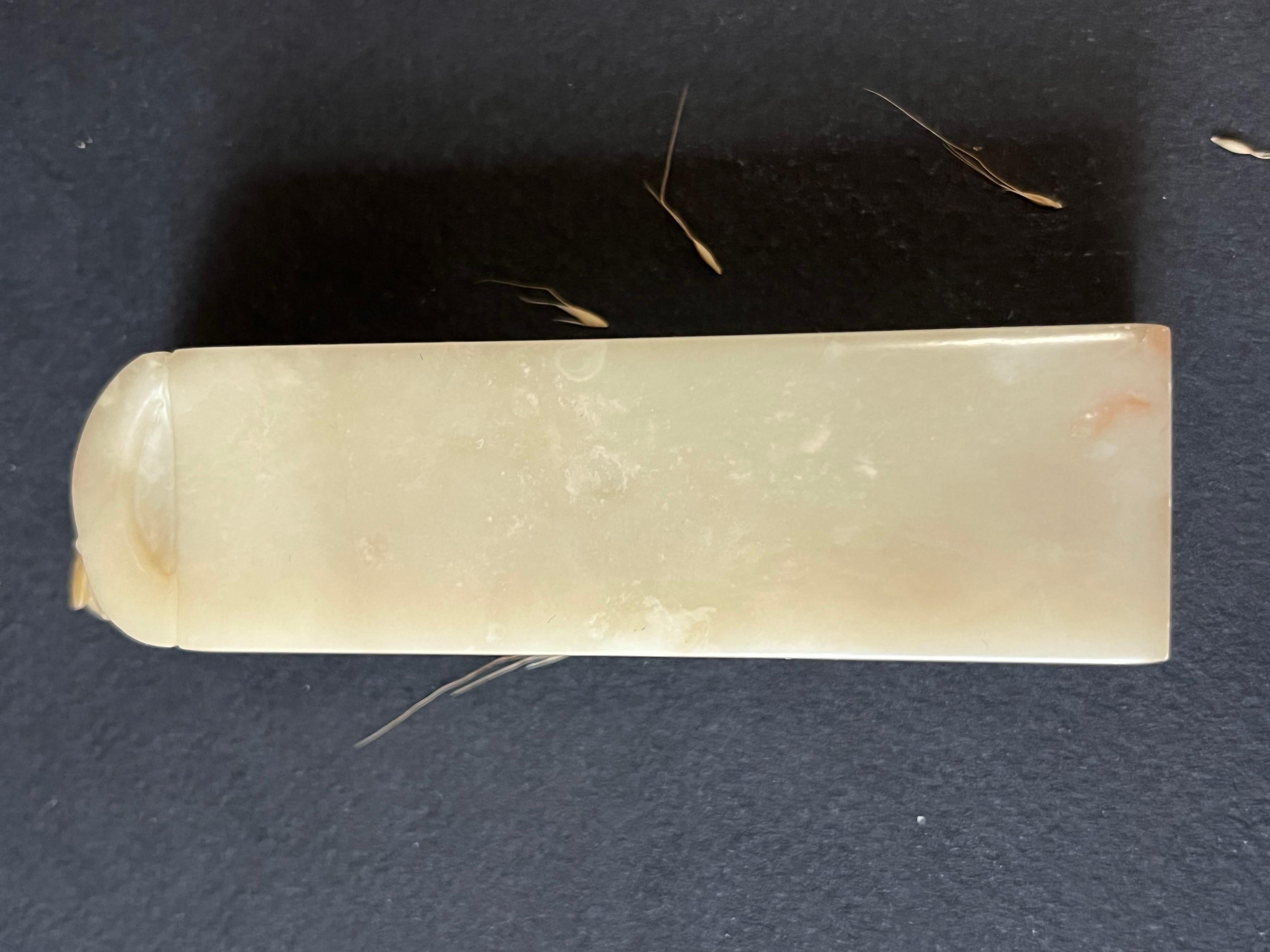Artisan Handcrafted Golden Cicada from Natural Shoushan Stone Name Stamp For Sale