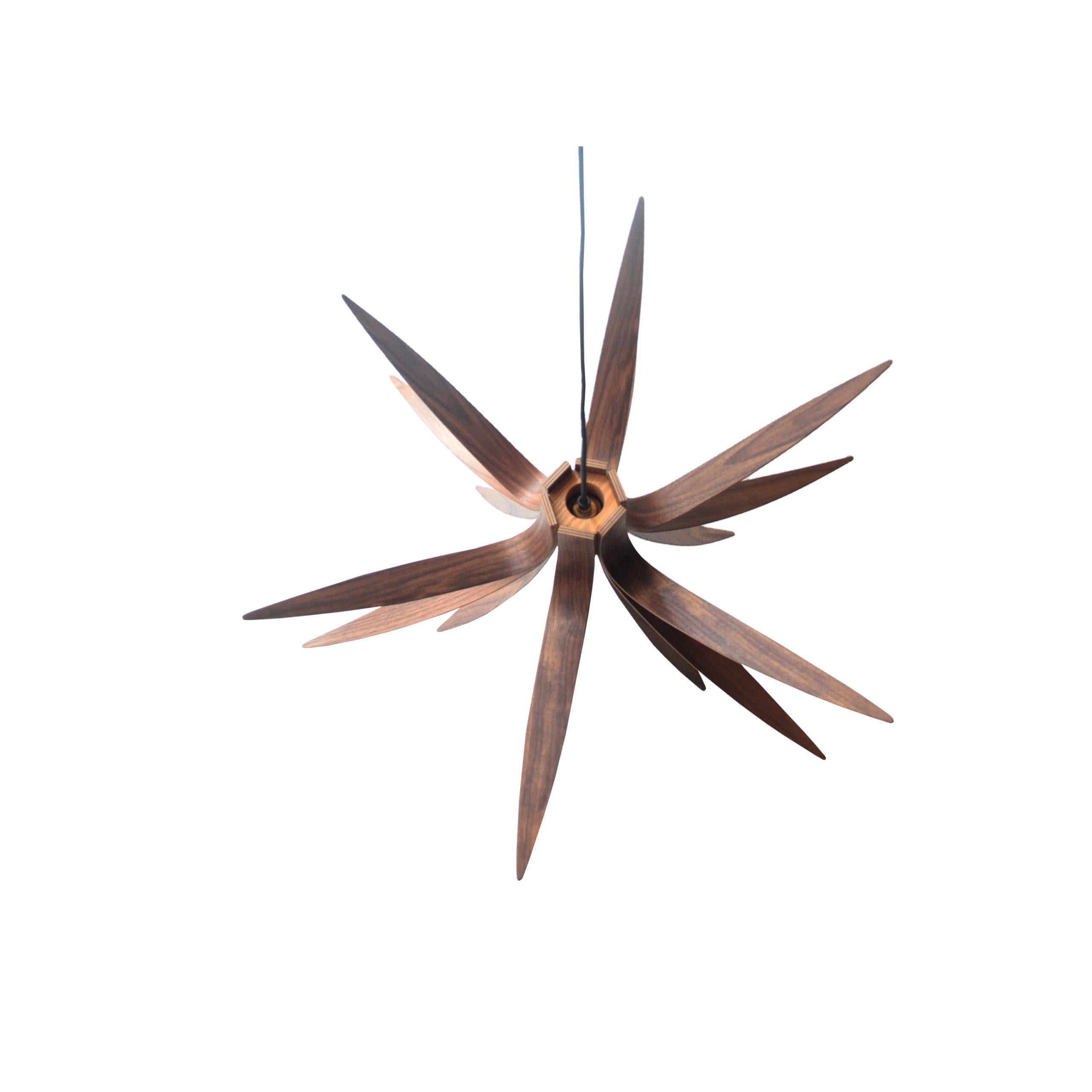 Britannico Lampada da soffitto in noce 