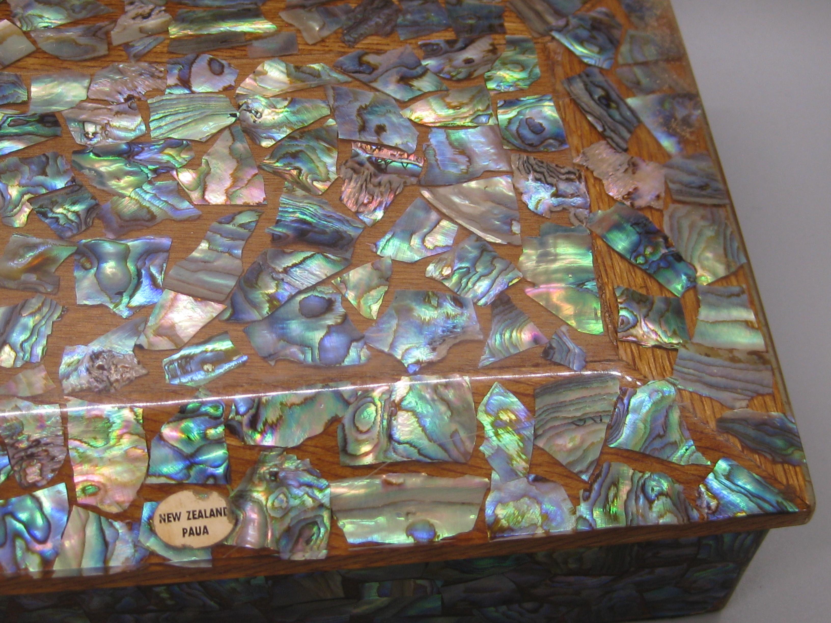 Caja de madera artesanal maorí de Nueva Zelanda Paua Abalone Shell Stash Trinket Caparazón en venta