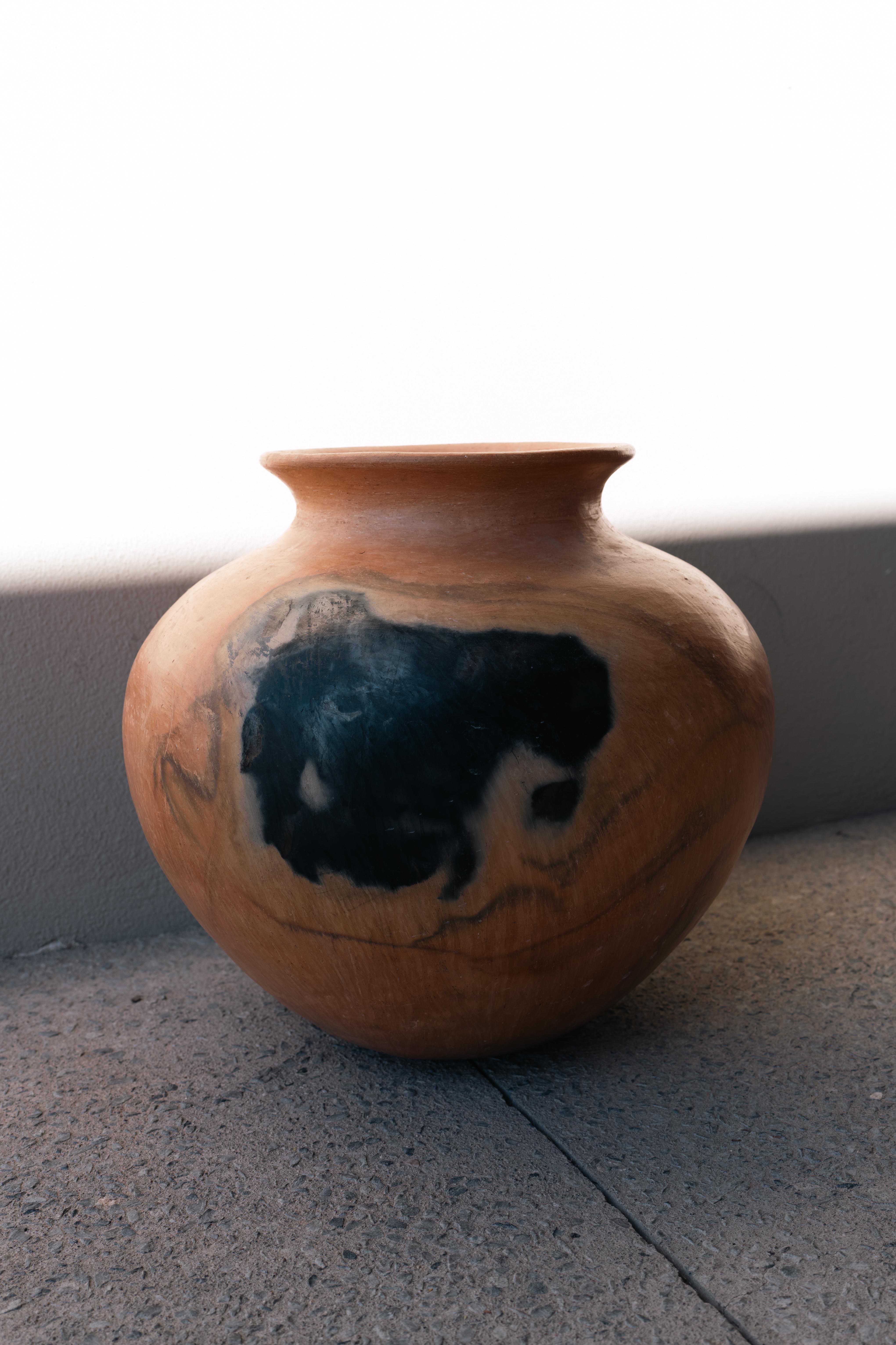 Vaso artigianale in argilla di Oaxacan Vaso artigianale messicano Vaso d'acqua Decor Ceramica in vendita 2