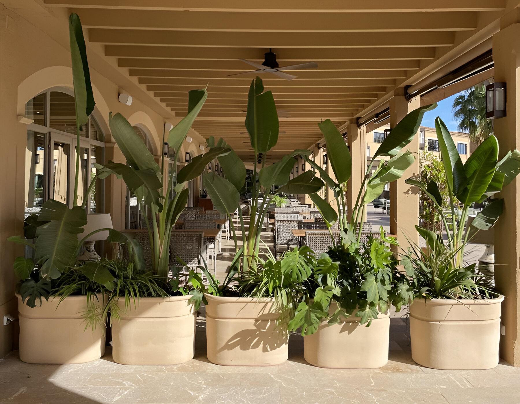 Espagnol Jardinière ovale en terre cuite émaillée, fabriquée à la main Classic Différentes finitions disponibles en vente