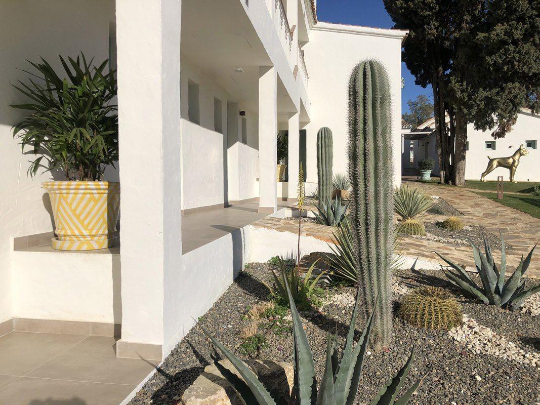 410/3  Elevate your home or garden with these exquisite oversized glazed terracotta planters, each a testament to the artistry and dedication of our artisan team. These planters are not merely containers for your beloved plants; they are works of