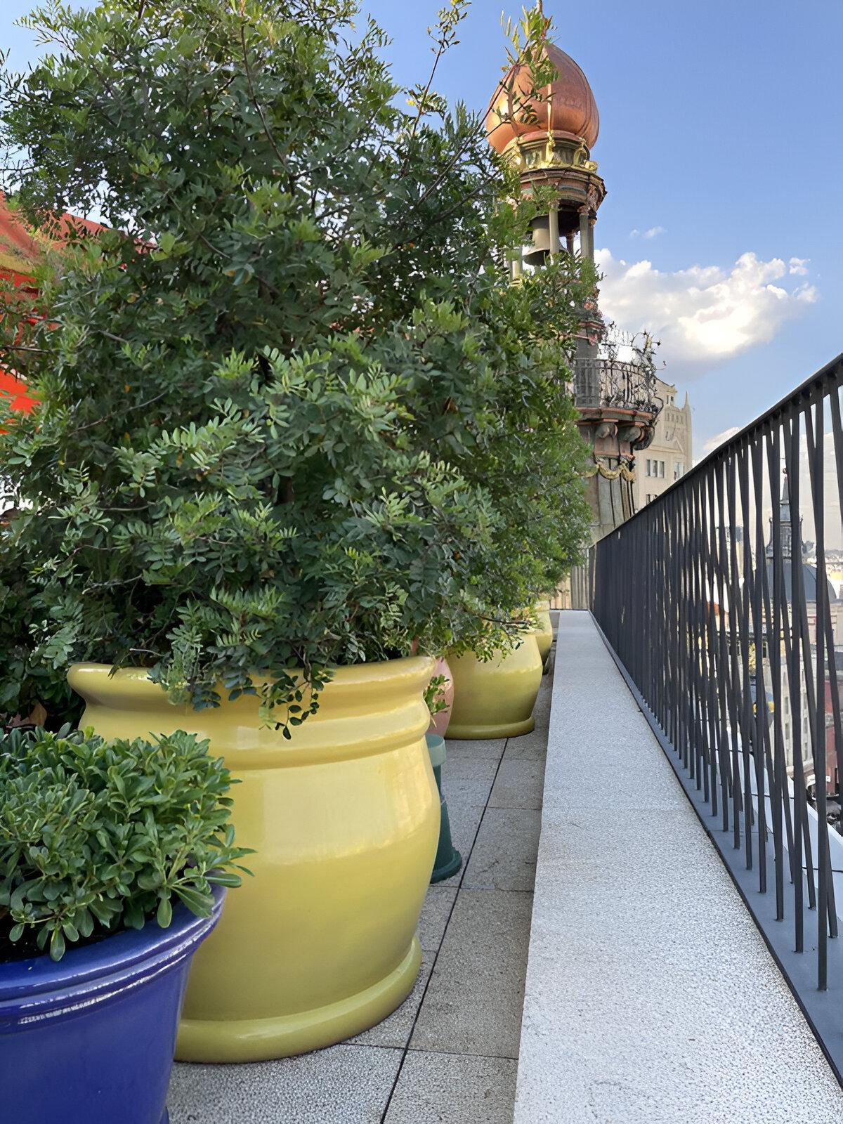 Spanish Handcrafted Oversized Glazed Terracotta Planters Plain Color Medium For Sale