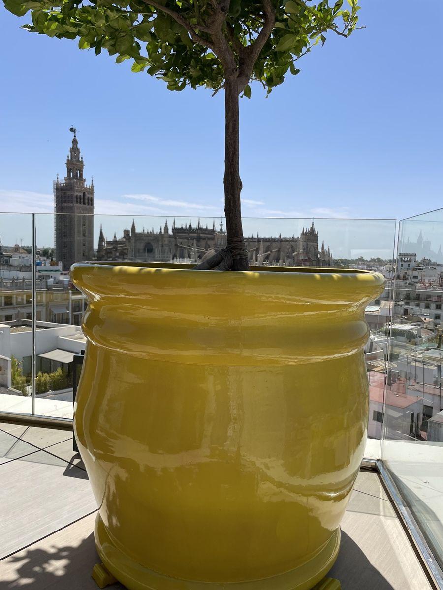 Handcrafted Oversized Glazed Terracotta Planters Plain Color Medium In New Condition For Sale In Alcoy, Alicante
