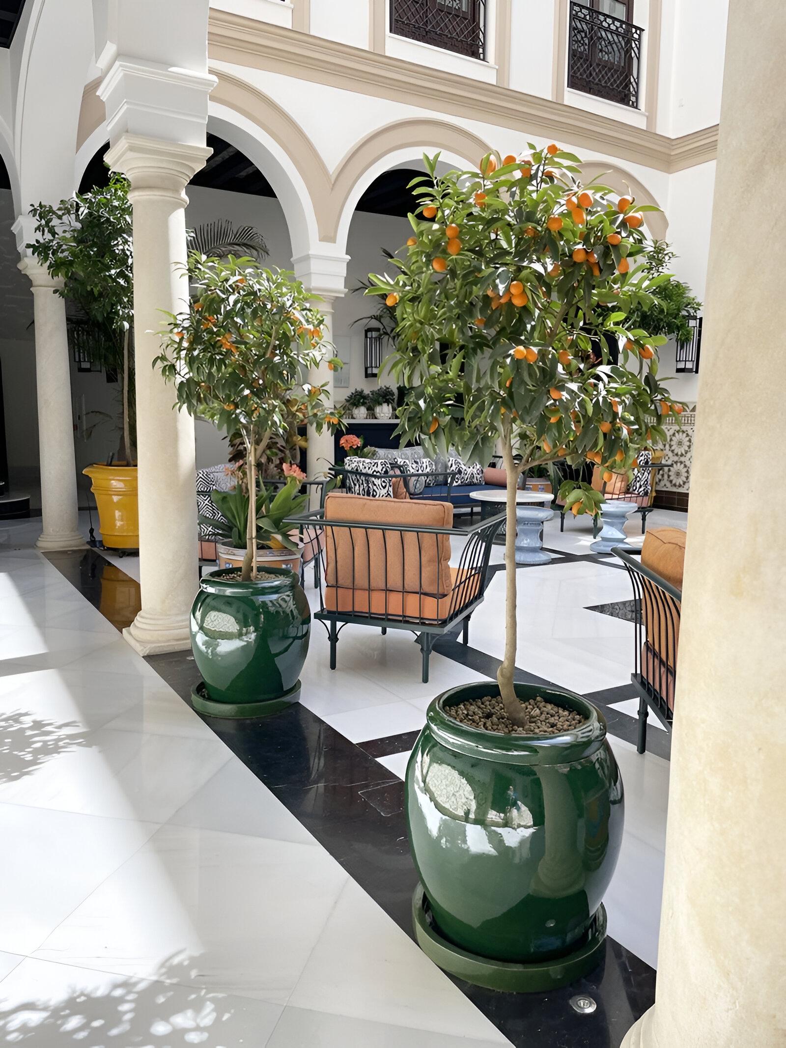 Jardinera Artesanal de Terracota Natural Sobredimensionada Diseño Pequeño en venta 3