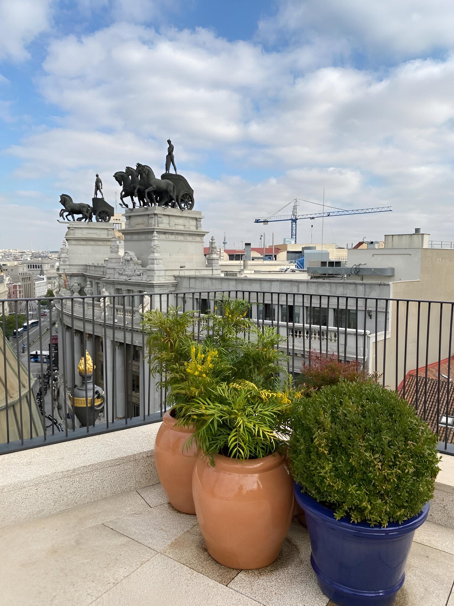 Jardinera Artesanal de Terracota Natural Sobredimensionada Diseño Pequeño en Nuevo estado para la venta en Alcoy, Alicante