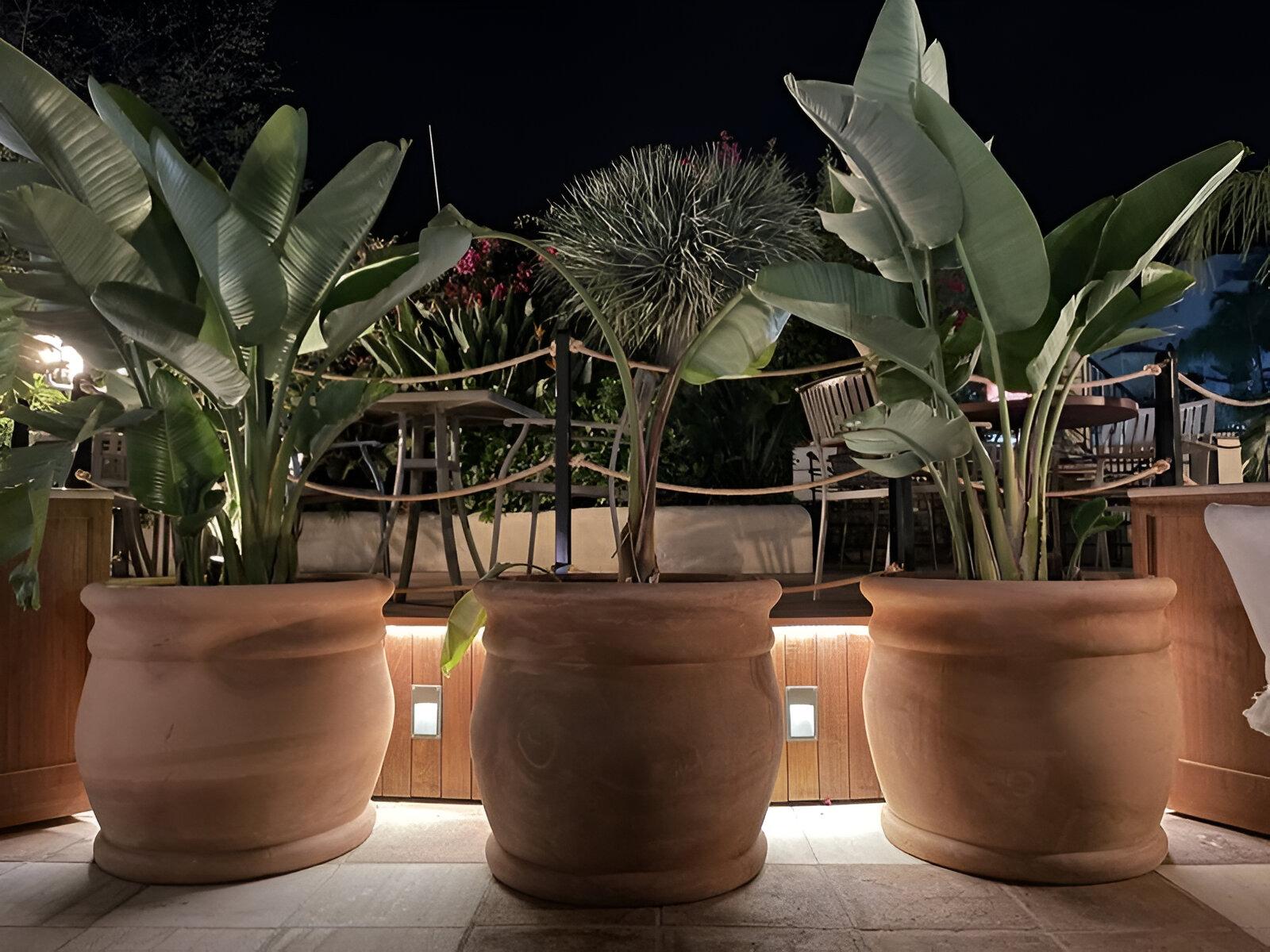 Glazed Handcrafted Oversized Terracotta Planters Textured Matte Finish Design Small For Sale