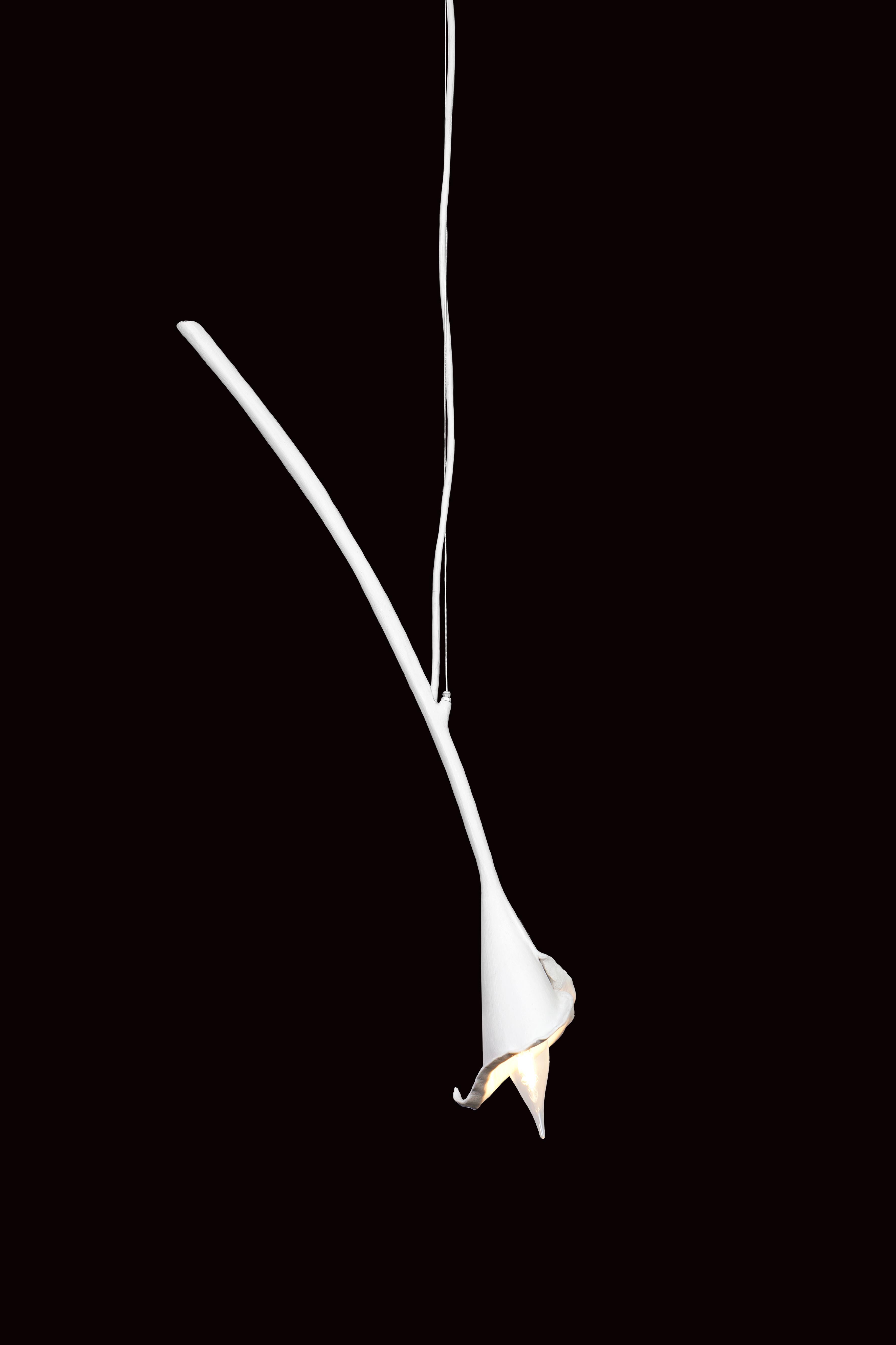 Hand-sculpted in white plaster or textured in black or red, you can select from a single element or a pair of Calla Lily allowing for endless possibilities to create your own composition. You can use the Calla Lily in any direction you want. Each