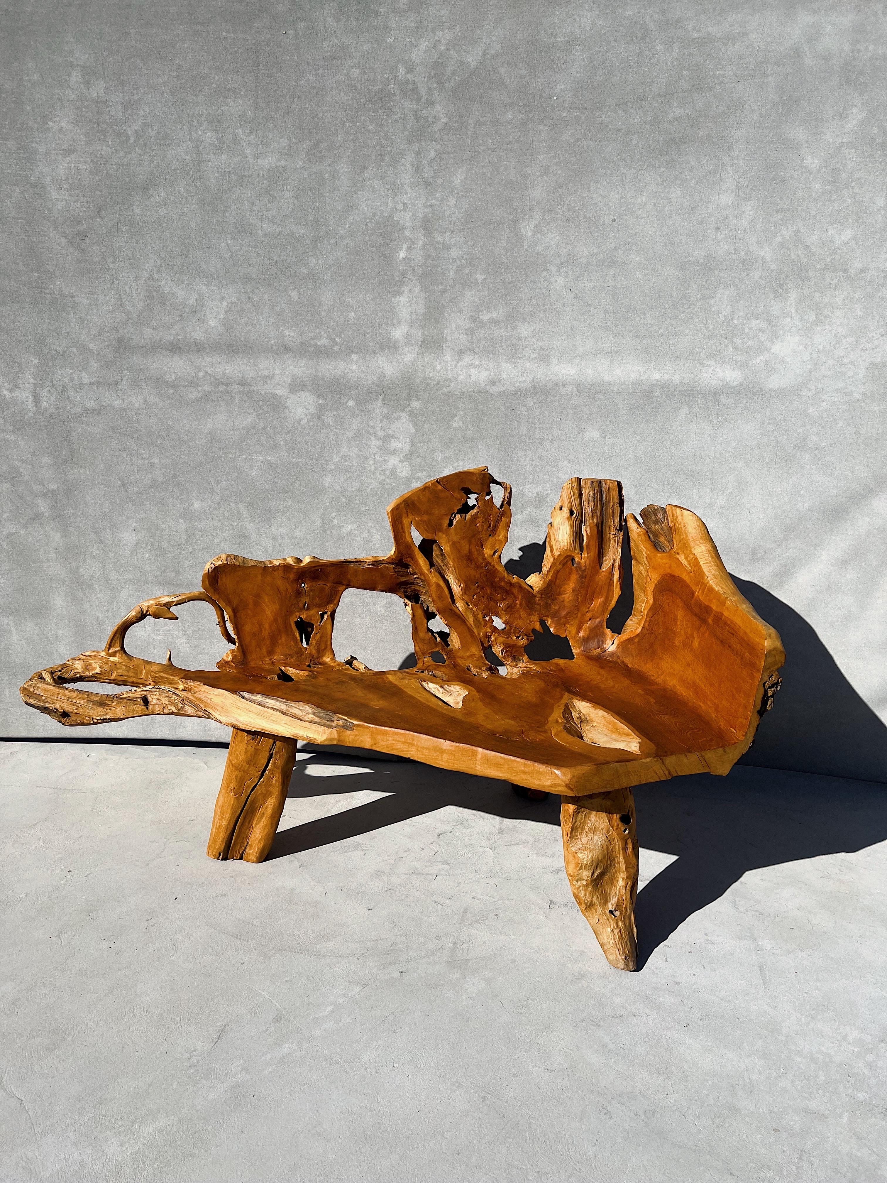 Handcrafted Rustic Teak Root Tree Bench, Vintage, Canada 4