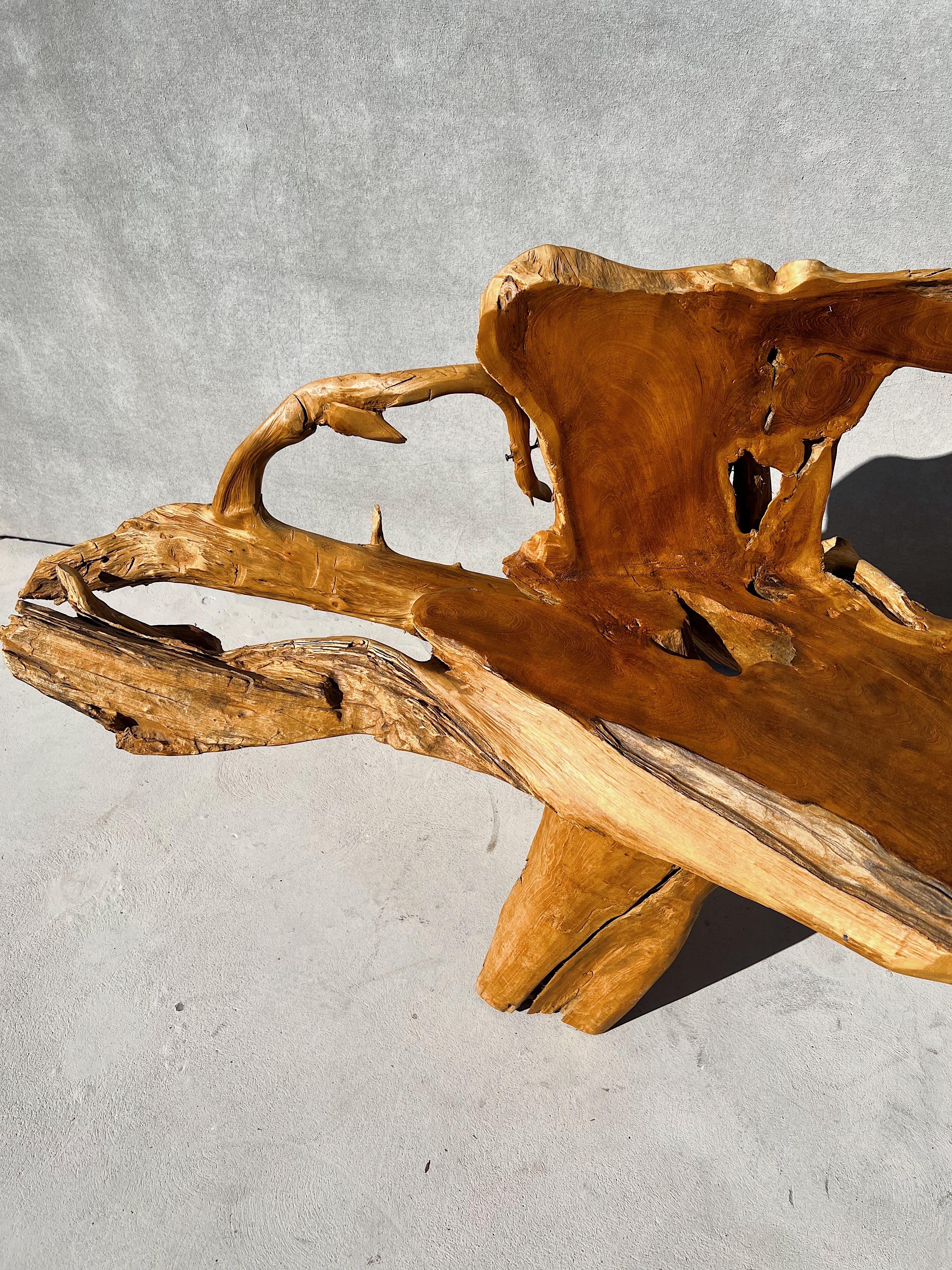 20th Century Handcrafted Rustic Teak Root Tree Bench, Vintage, Canada
