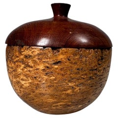 Handcrafted Sculptural Lidded Vessel Jar Brazil Nutshell Mesquite Wood