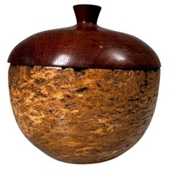 Handcrafted Sculptural Lidded Vessel Jar Brazil Nutshell Mesquite Wood