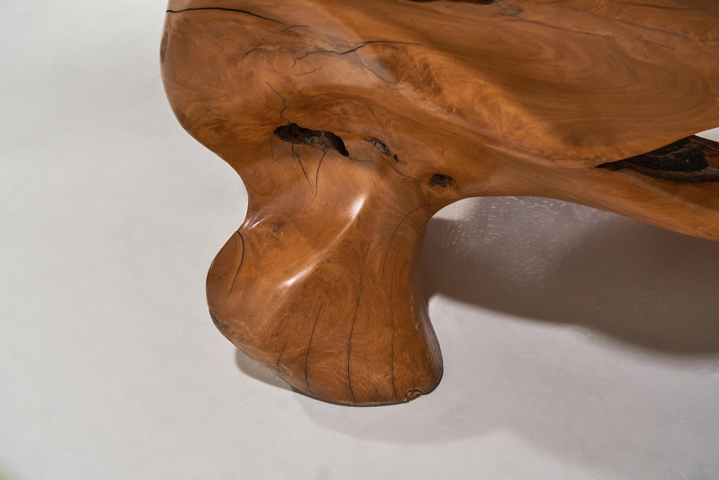 Handcrafted Teak Root Bench, Europe Late 20th Century For Sale 11