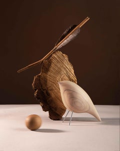 Handcrafted Gift - Tweety Decorative Bird CS1 in Natural Stained Ashwood by NOOM