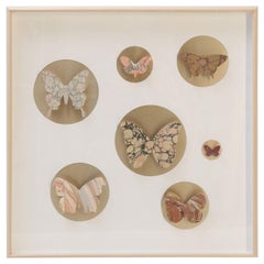 Mid-Century Modern Shadow Boxes