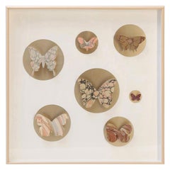 Mid-Century Modern Shadow Boxes