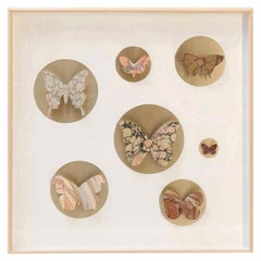 Wood Shadow Boxes
