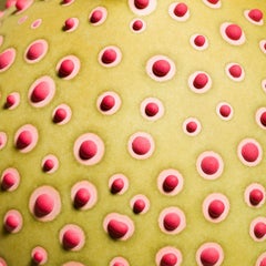 Handgefertigte Petri-Bud-Vase des 21. Jahrhunderts in Olivgrün von Elyse Graham