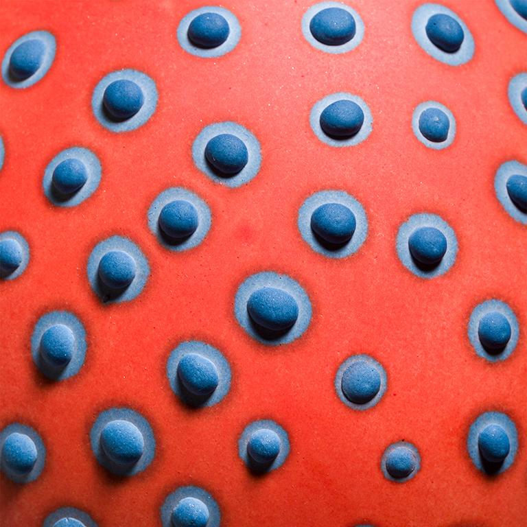 L'insolite vase Petri Bud est fabriqué à la main par l'artiste Elyse Graham dans son studio de Los Angeles.

Cette collection de vases s'inspire de notre incroyable microbiome diversifié.

L'artiste est connue pour sa palette de couleurs