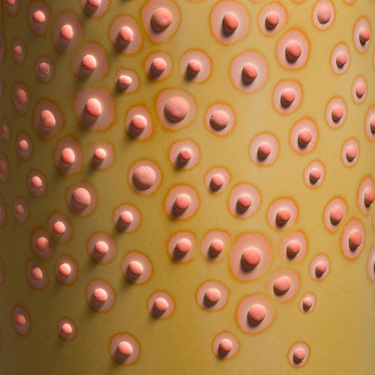 Le vase Dubos, saisissant et ludique, est fabriqué à la main par l'artiste Elyse Graham dans son studio de Los Angeles.

Cette collection de vases s'inspire de notre incroyable microbiome diversifié.

L'artiste est connue pour sa palette de