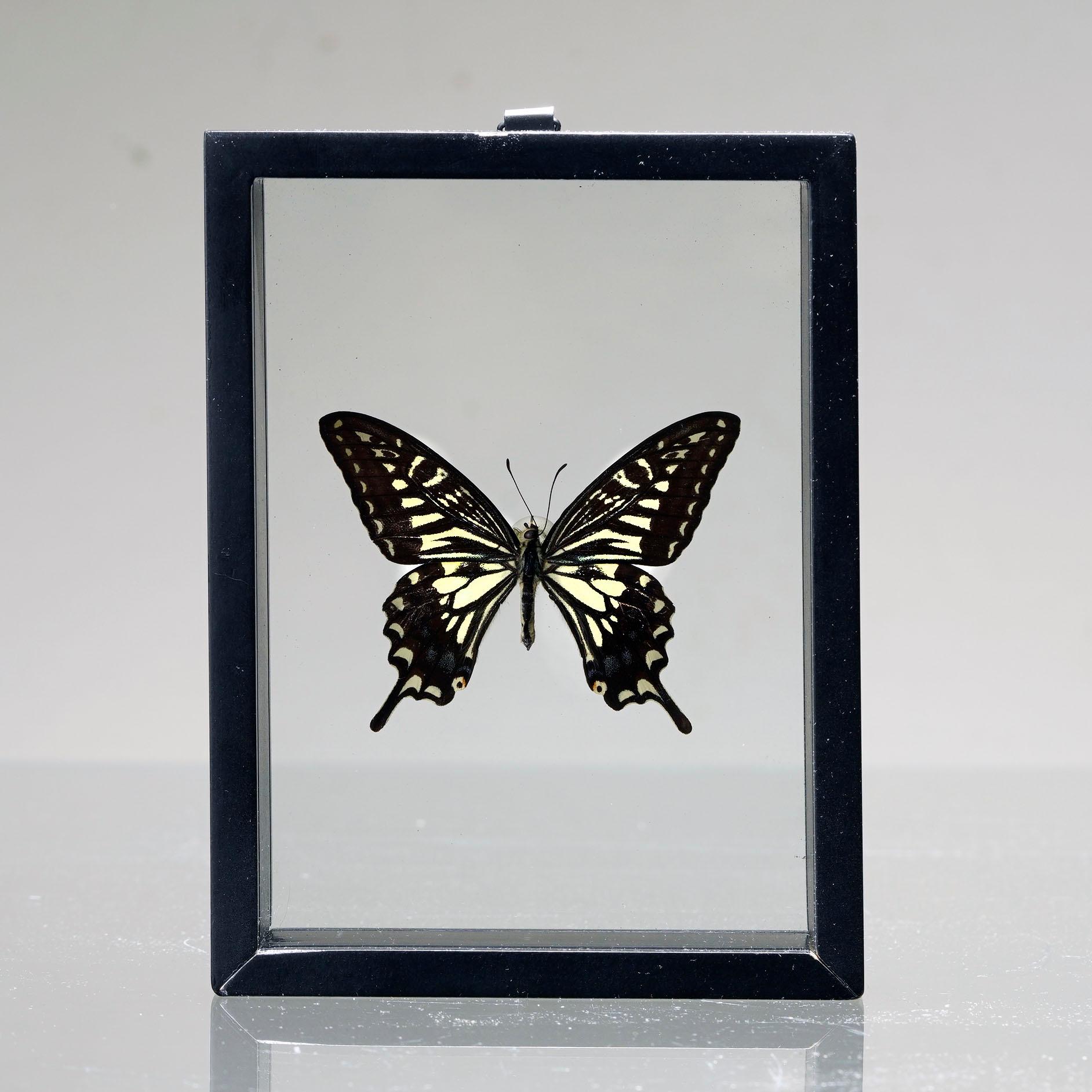 Handmade Butterfly Box  – Black/White
