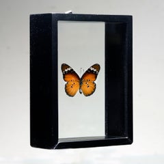 Handmade Butterfly Box  – Orange/Black