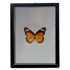 Handmade Butterfly Box  – Orange/Black