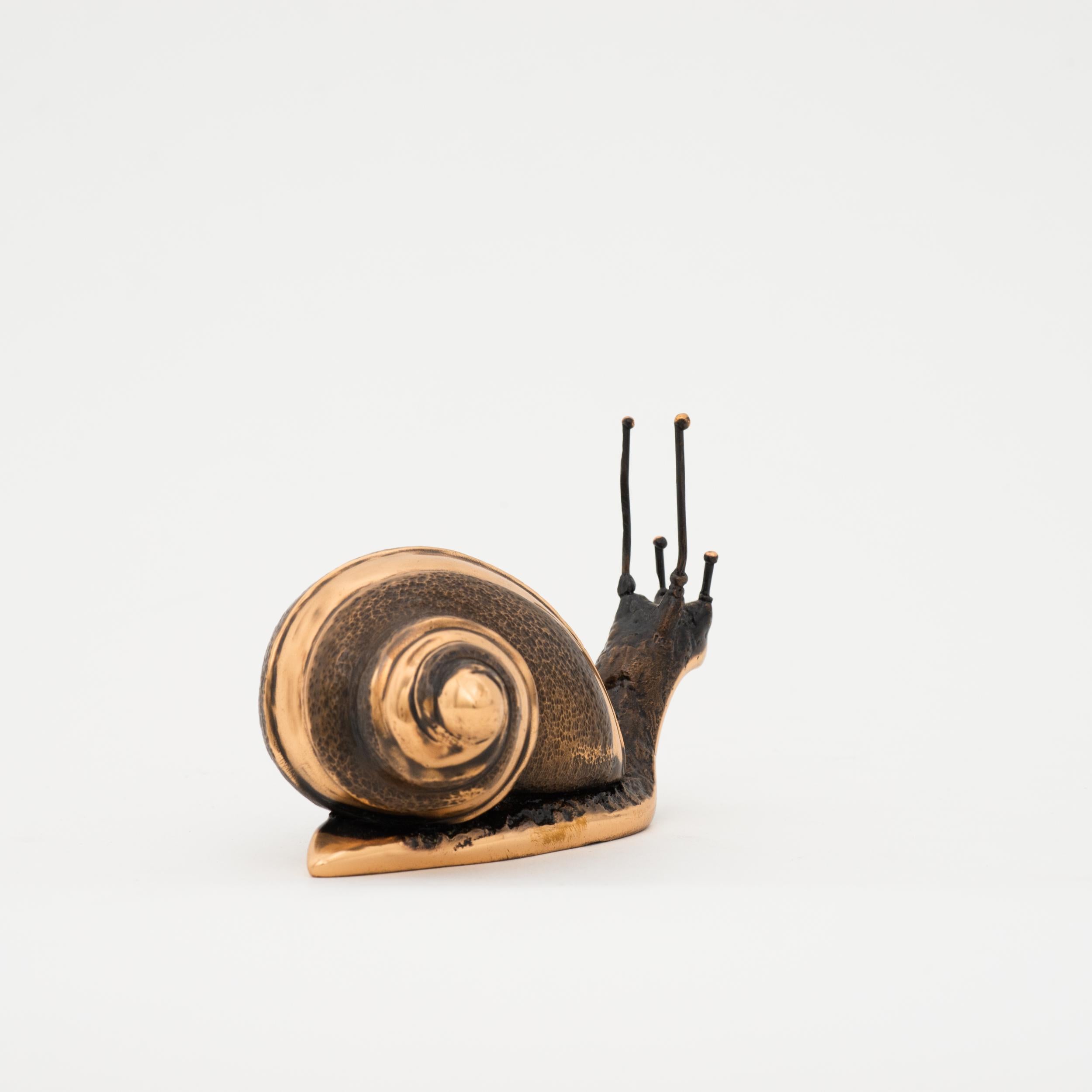 bronze snail baby large