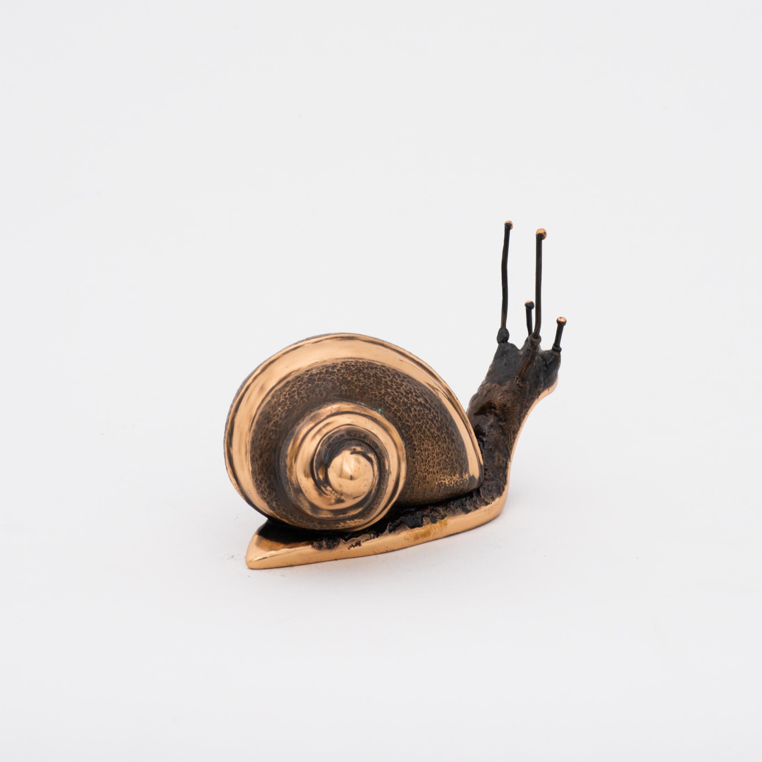 Organic Modern Handmade Cast Bronze Decorative Snail Large Paperweight For Sale