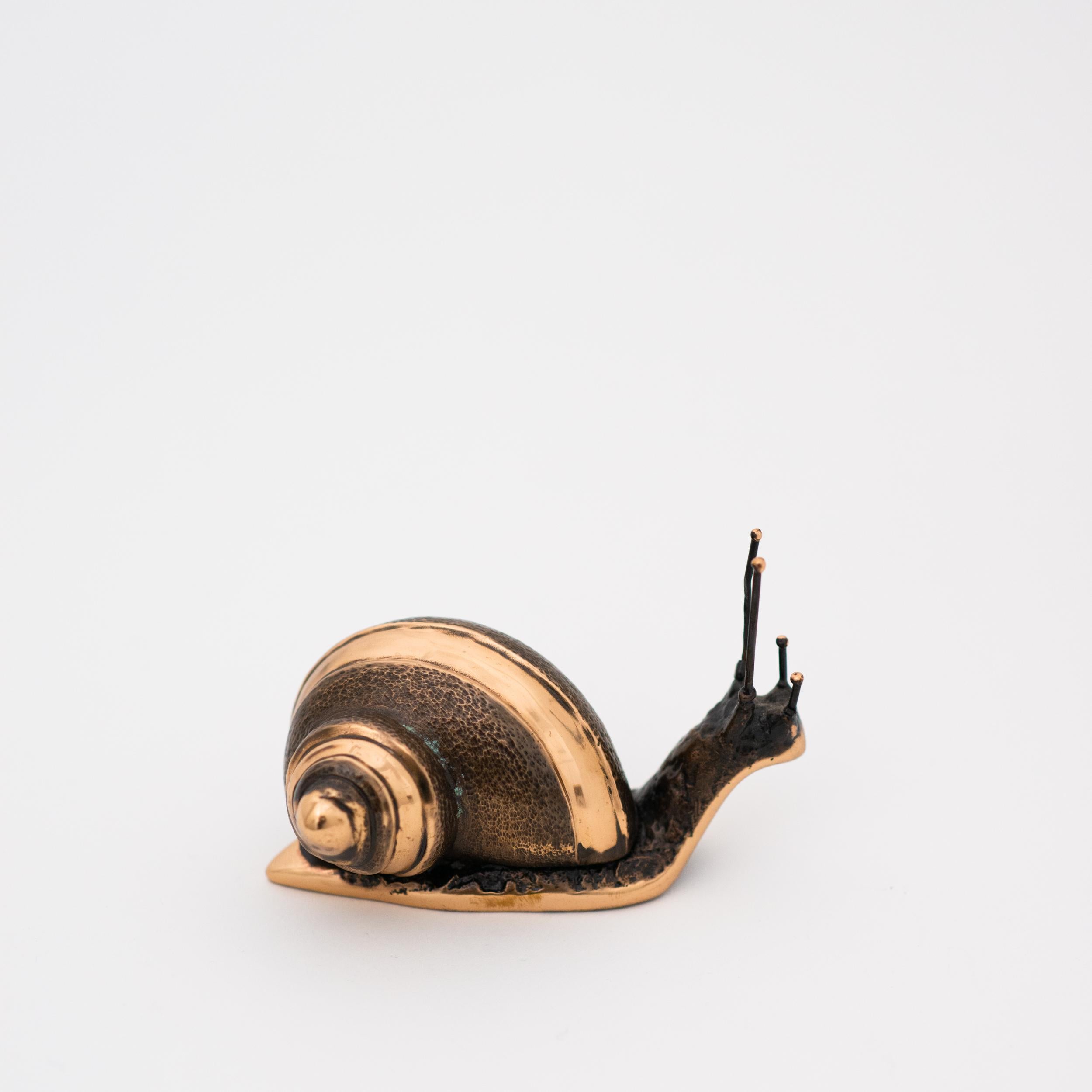 Indian Handmade Cast Bronze Decorative Snail Large Paperweight For Sale