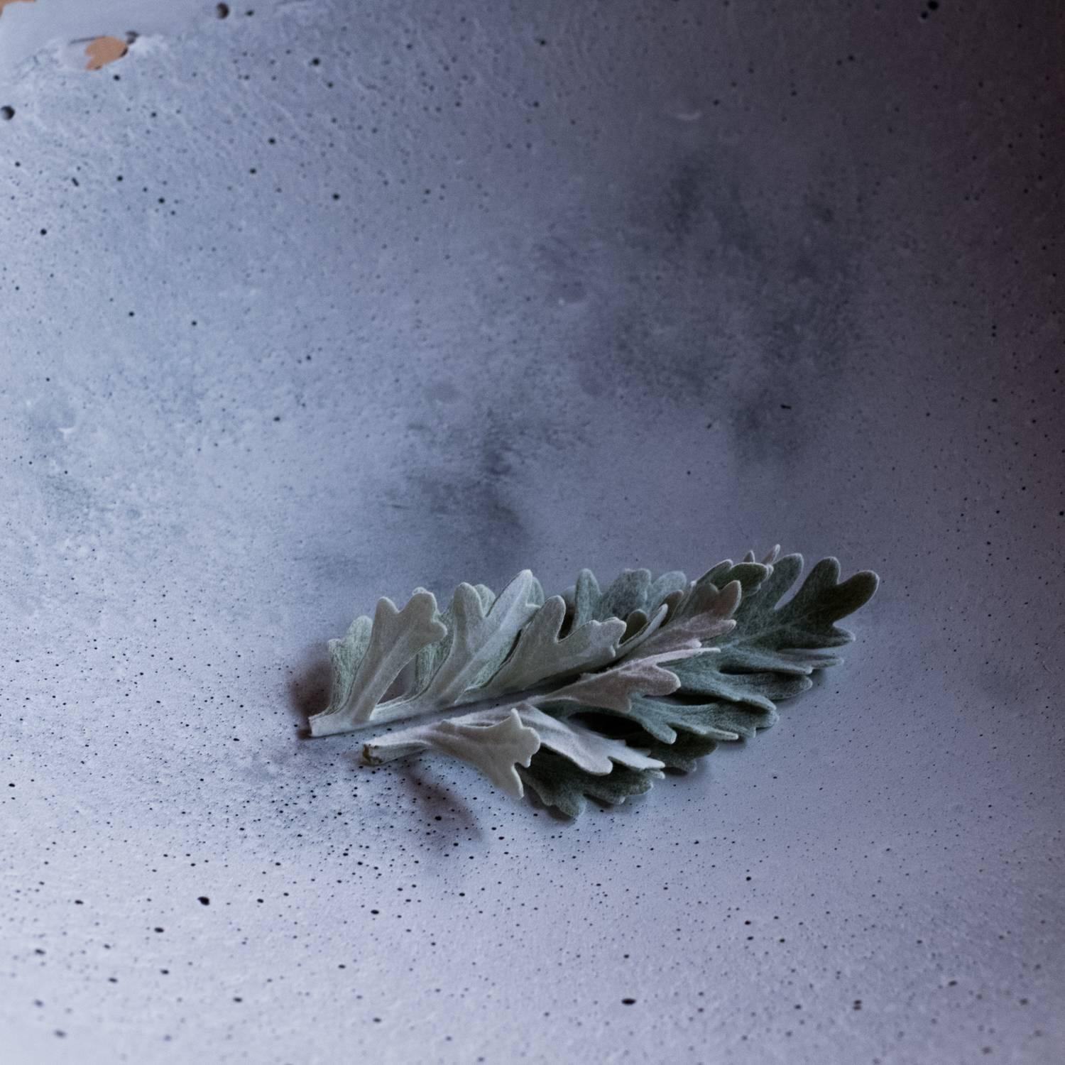 Handmade Cast Concrete Bowl in Grey by UMÉ Studio 7