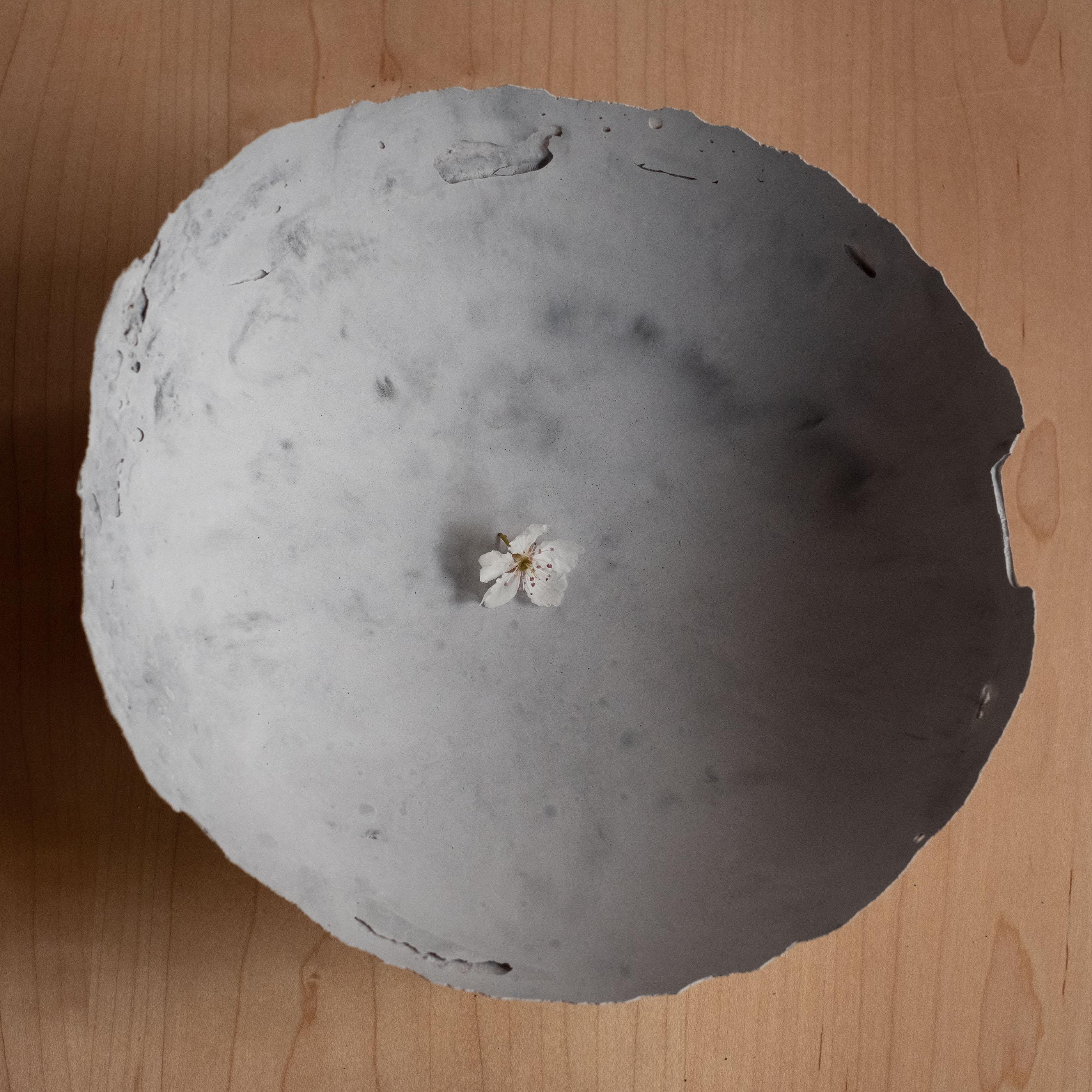 American Handmade Cast Concrete Bowl in Grey by UME Studio For Sale