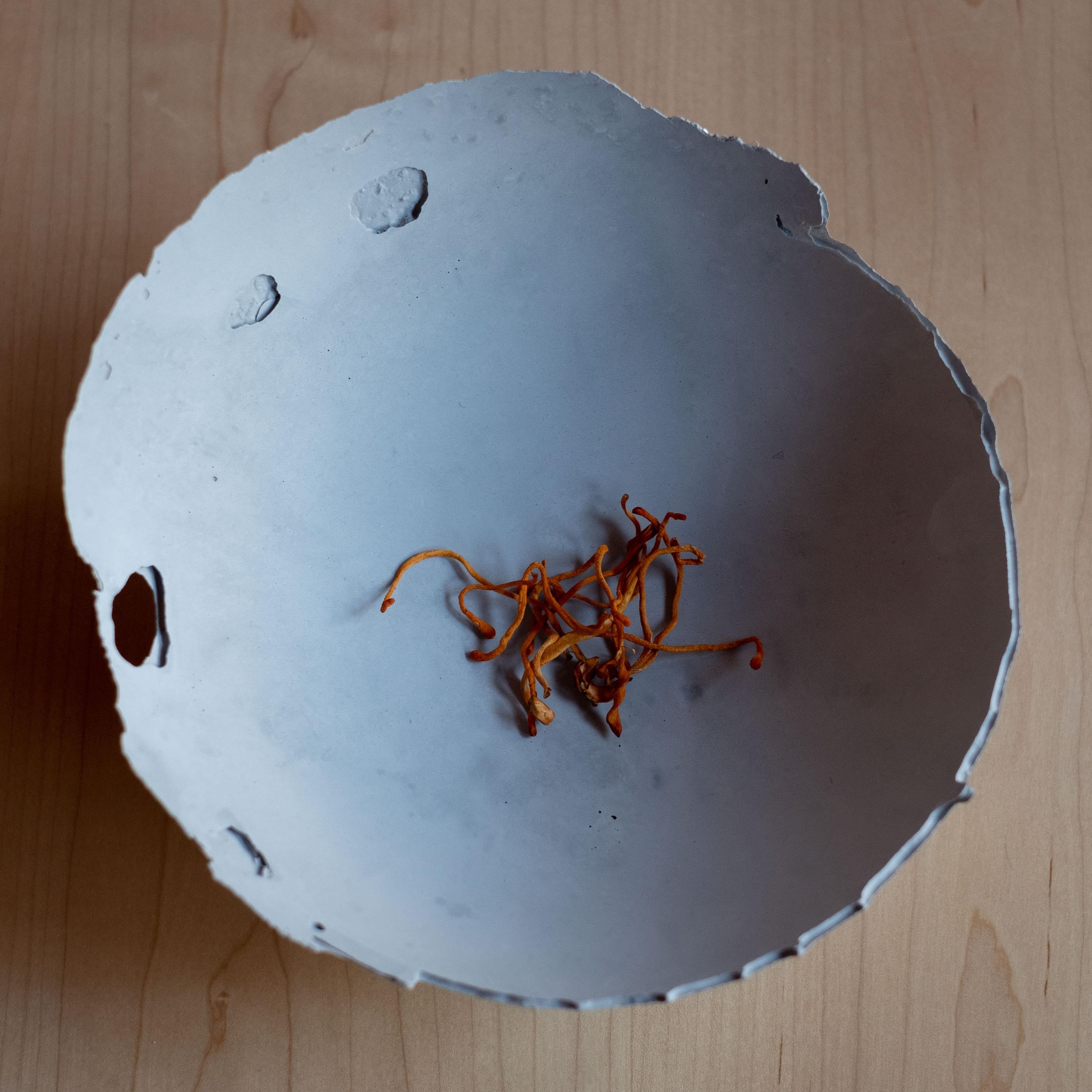 American Handmade Cast Concrete Bowl in Grey by UME Studio For Sale