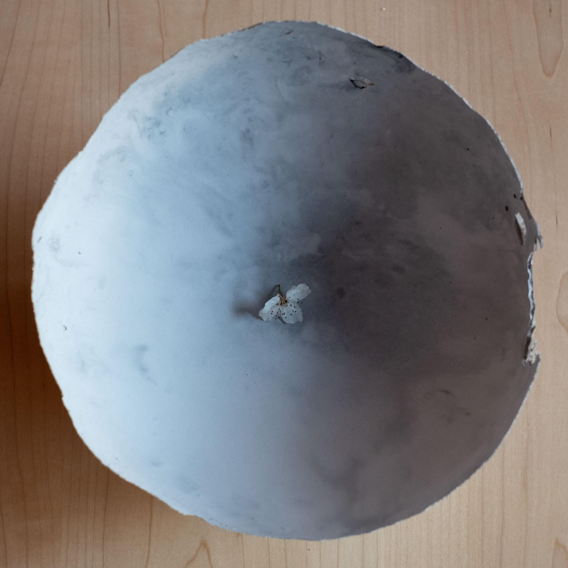 Américain Bol gris en béton moulé à la main par UME Studio en vente