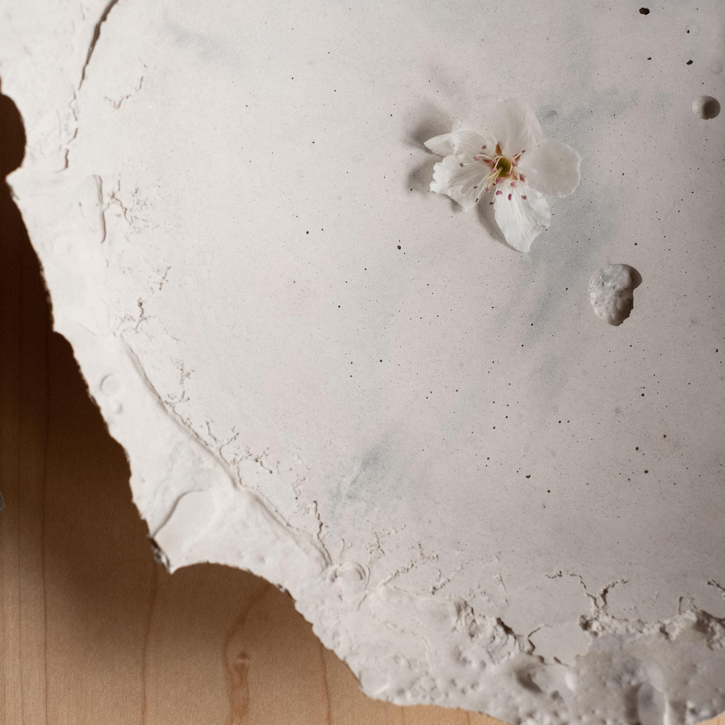Handmade Cast Concrete Bowl in Grey by UME Studio In New Condition For Sale In Oakland, CA