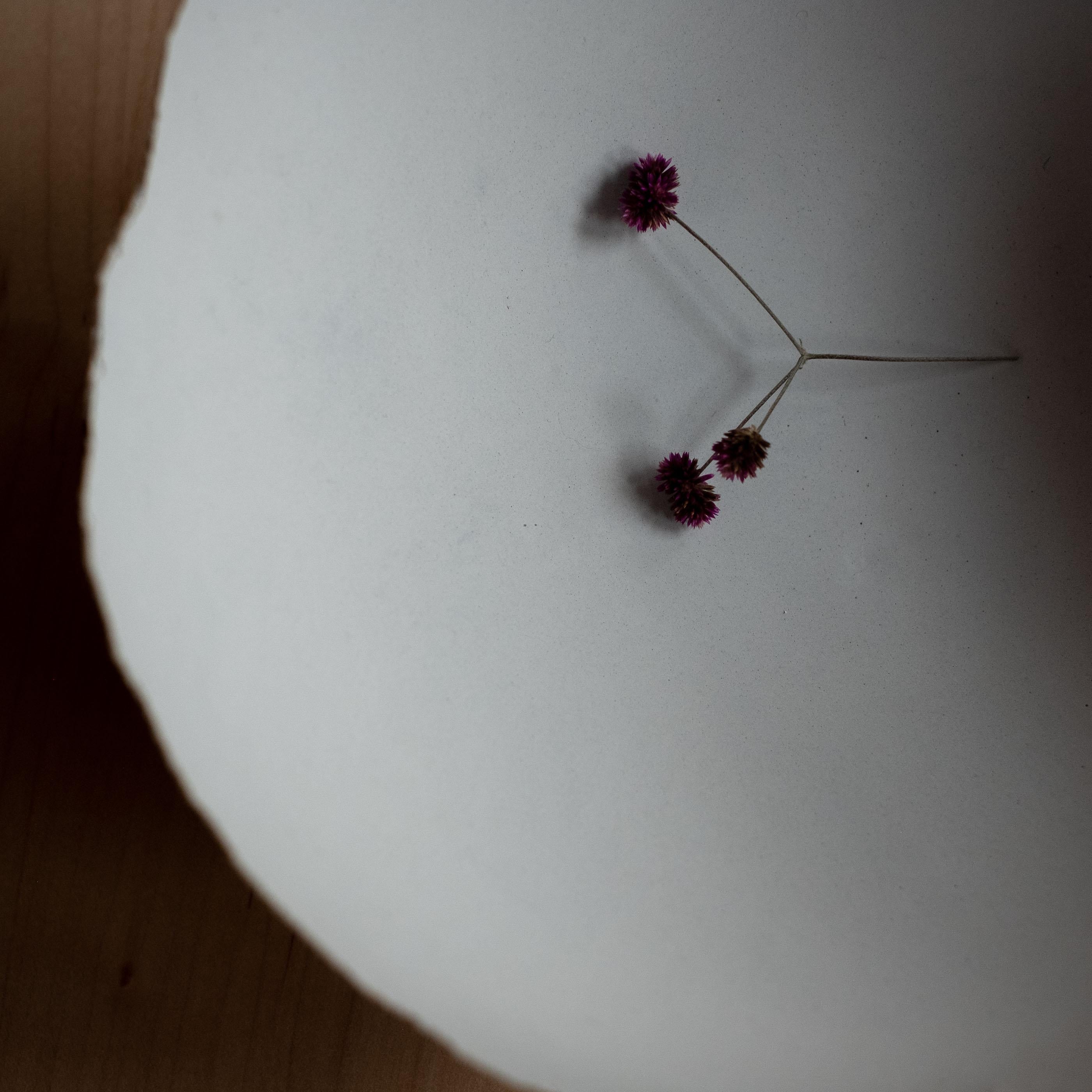 Calco Ciotola in cemento fuso a mano in grigio di UME Studio A in vendita