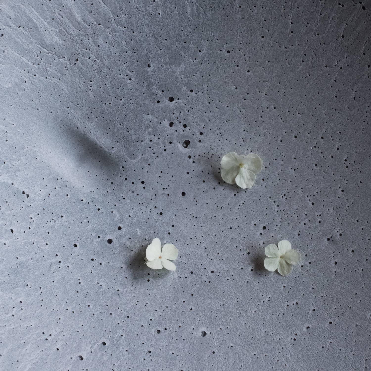 Contemporary Handmade Cast Concrete Bowl in Grey by UMÉ Studio