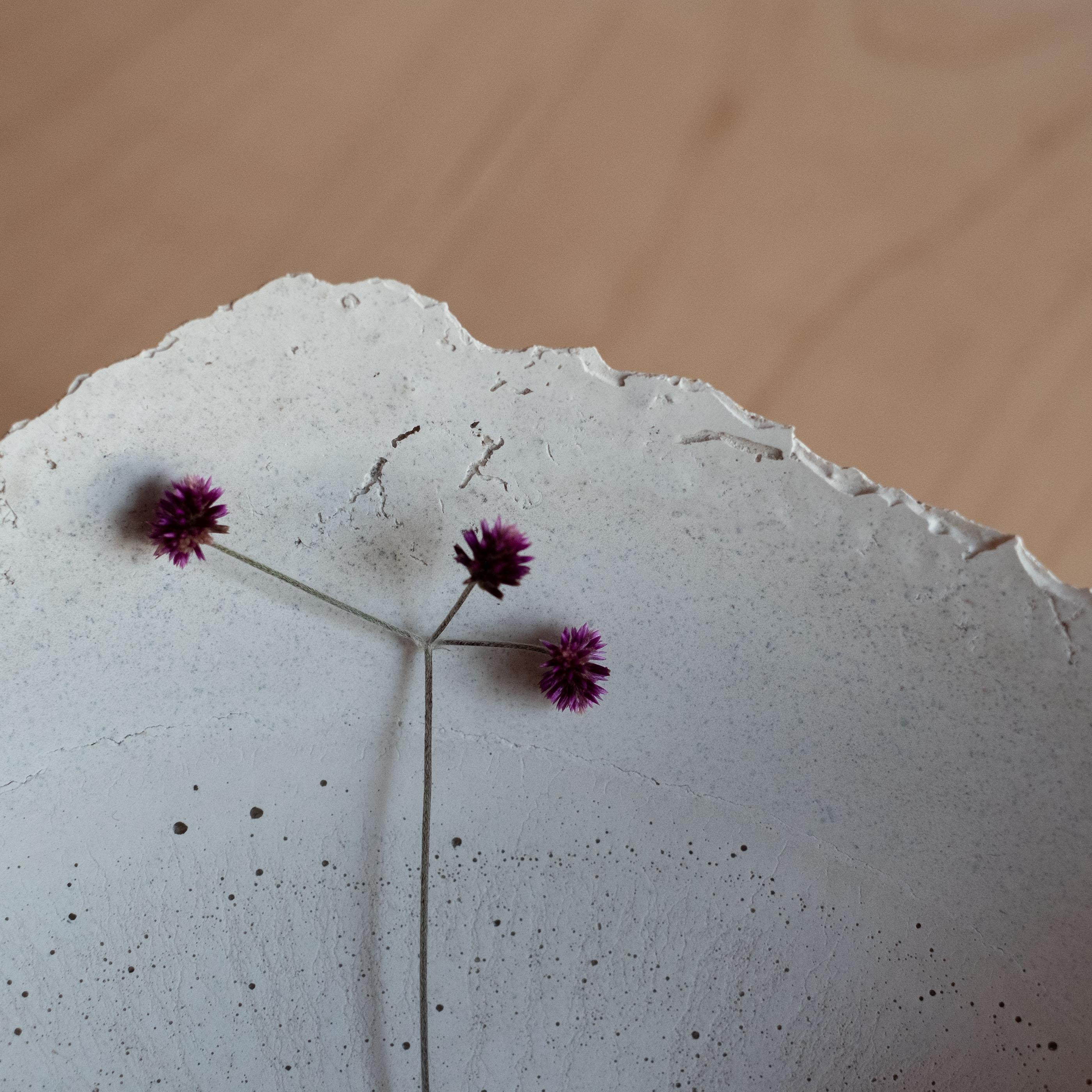 Contemporary Handmade Cast Concrete Bowl in Grey by Umé Studio For Sale