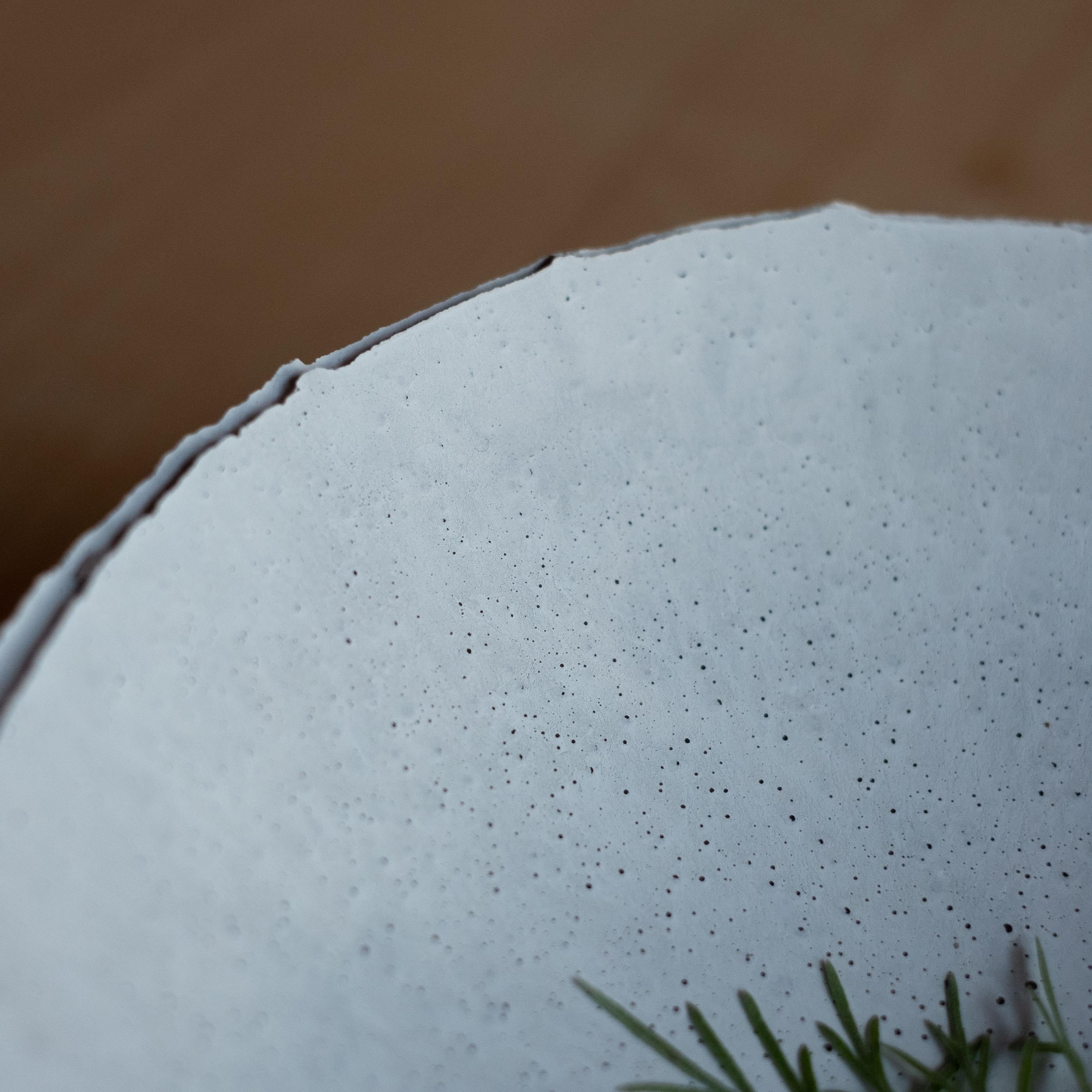 Contemporary Handmade Cast Concrete Bowl in Grey by UME Studio For Sale