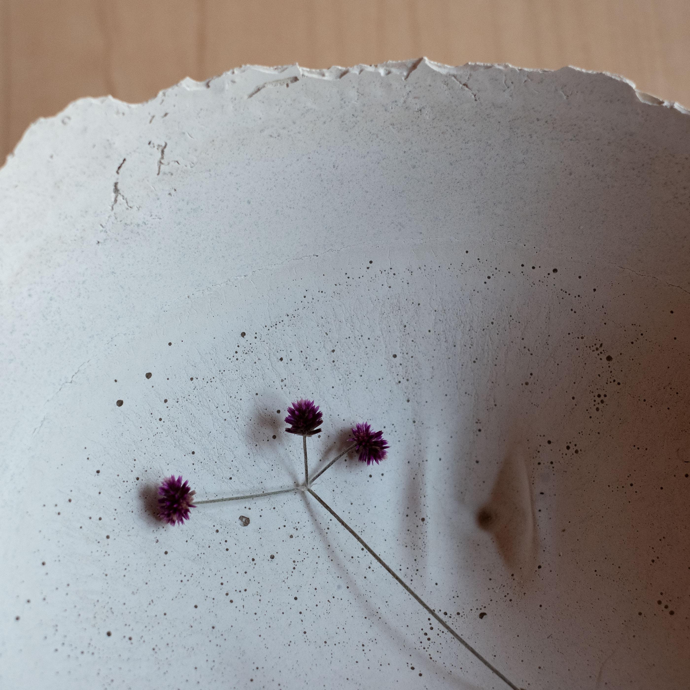 Handmade Cast Concrete Bowl in Grey by Umé Studio For Sale 1