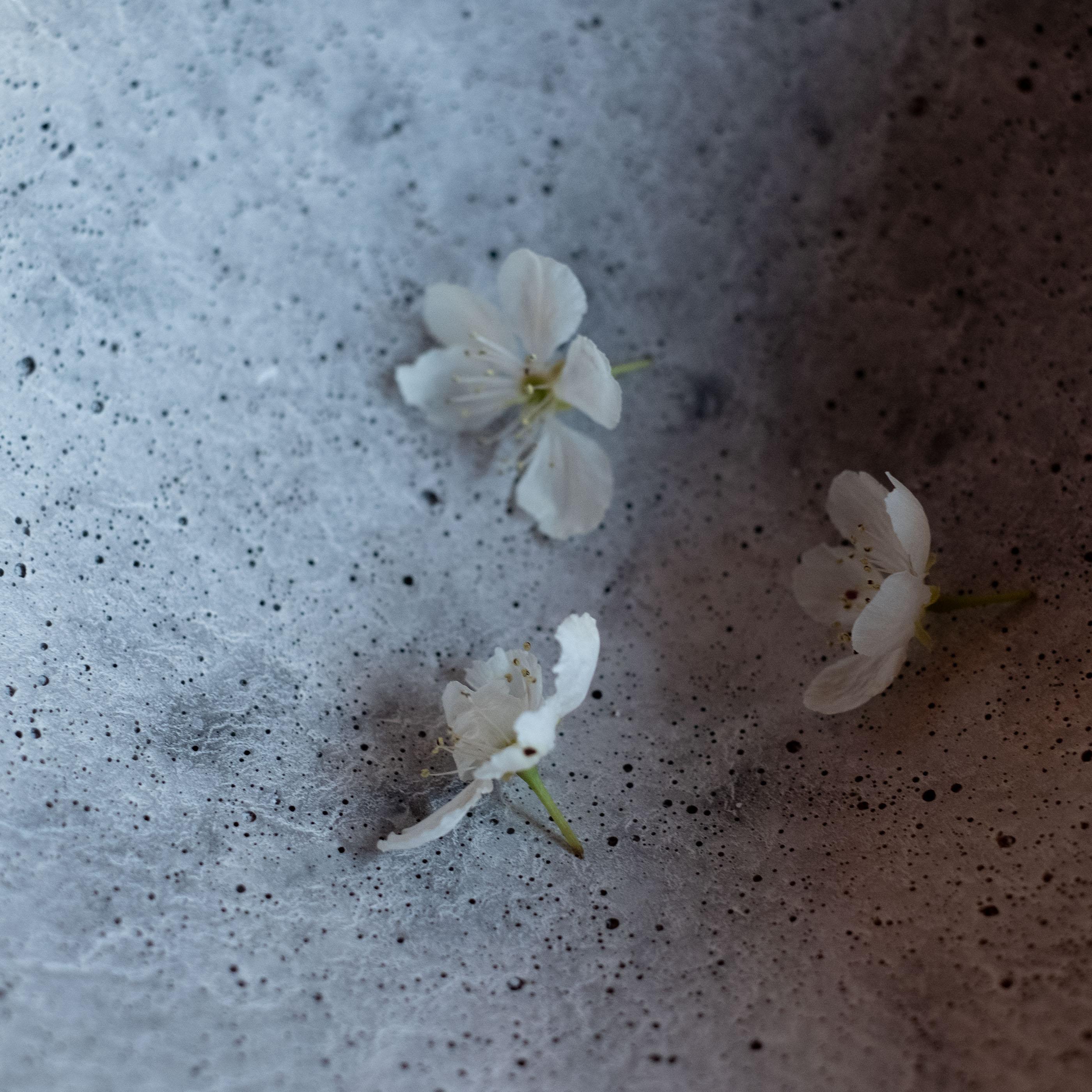 Handmade Cast Concrete Bowl in Grey by UME Studio For Sale 1