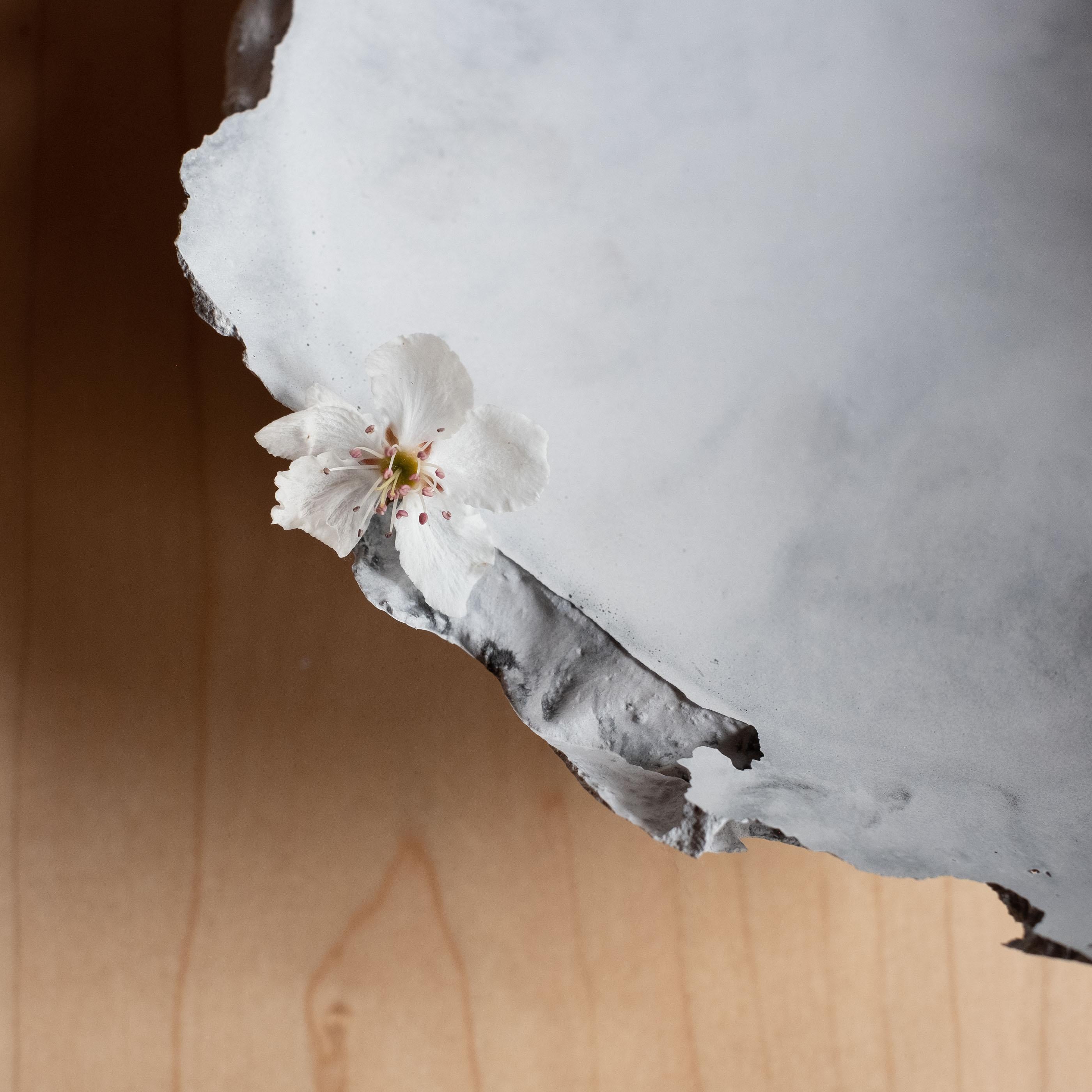 XXI secolo e contemporaneo Handmade Cast Concrete Bowl in Grey by UME Studio in vendita