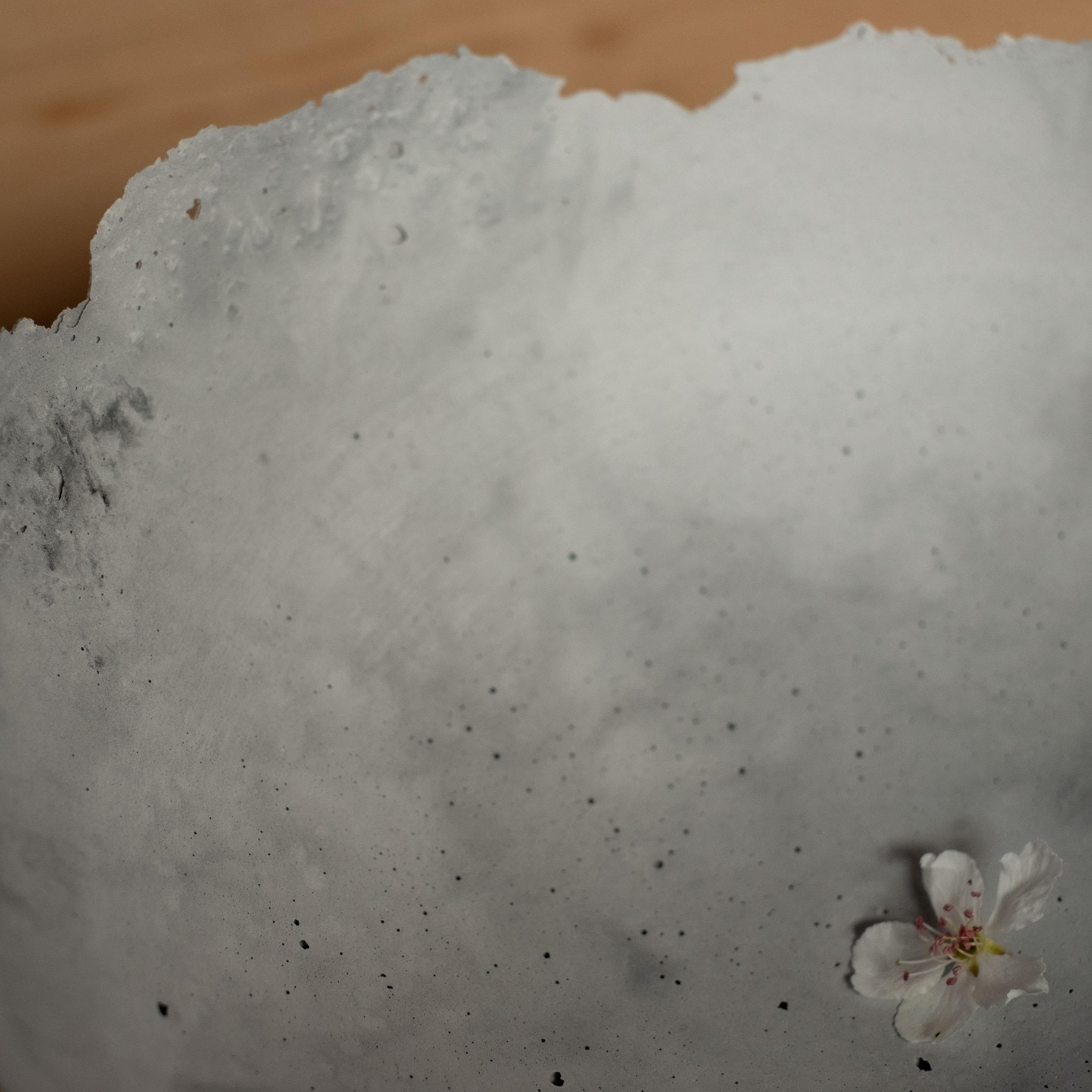 Handmade Cast Concrete Bowl in Grey by UME Studio For Sale 1