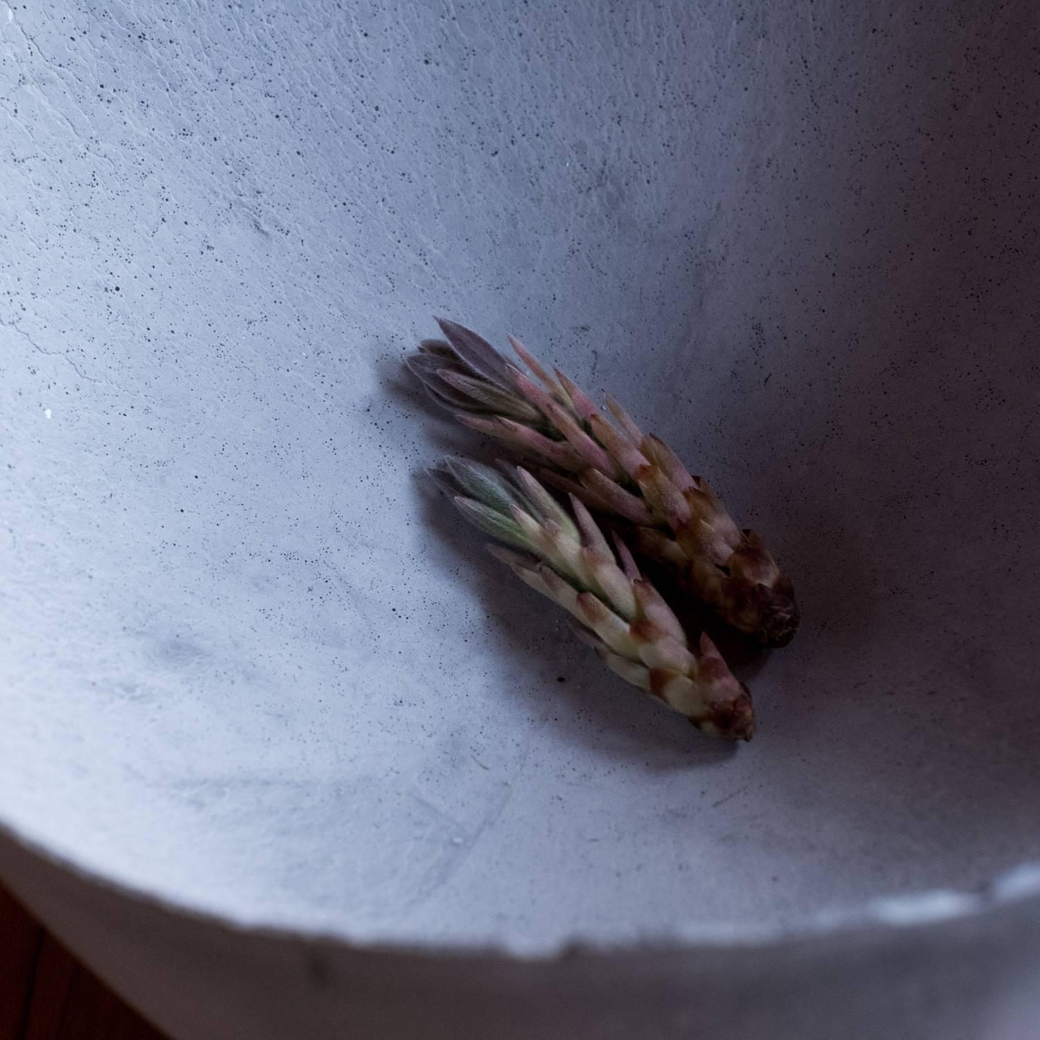Calcestruzzo Ciotola in cemento fuso a mano in grigio di UMÉ Studio in vendita