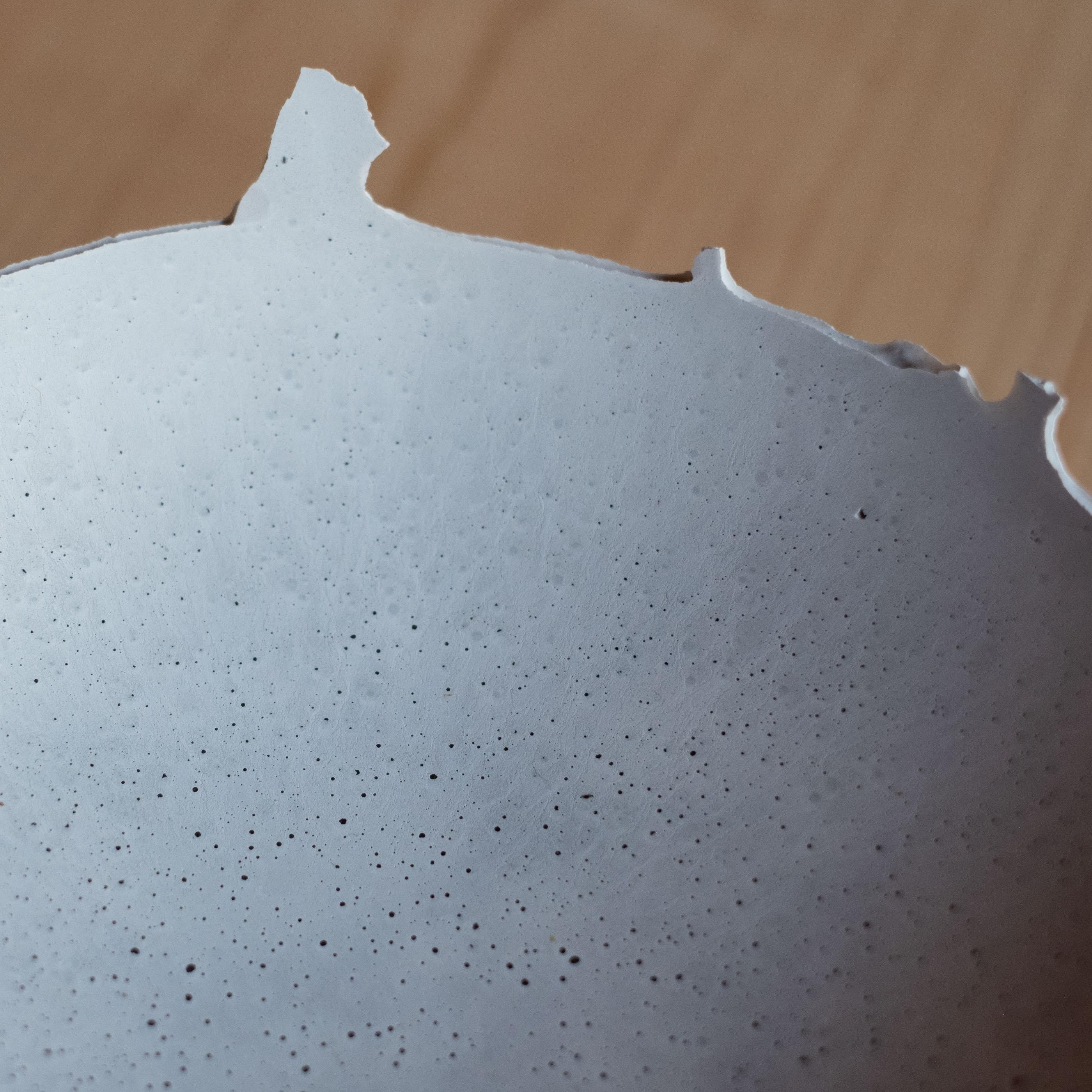 Handmade Cast Concrete Bowl in Grey by UME Studio For Sale 2