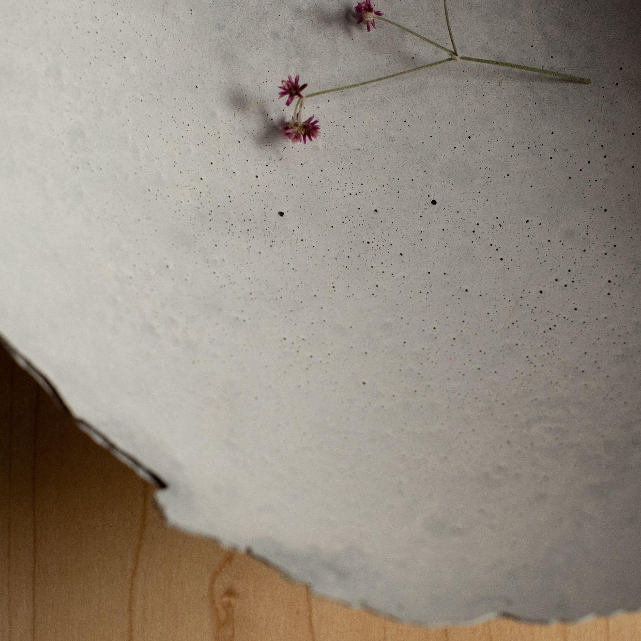 Handmade Cast Concrete Bowl in Grey by UME Studio For Sale 2