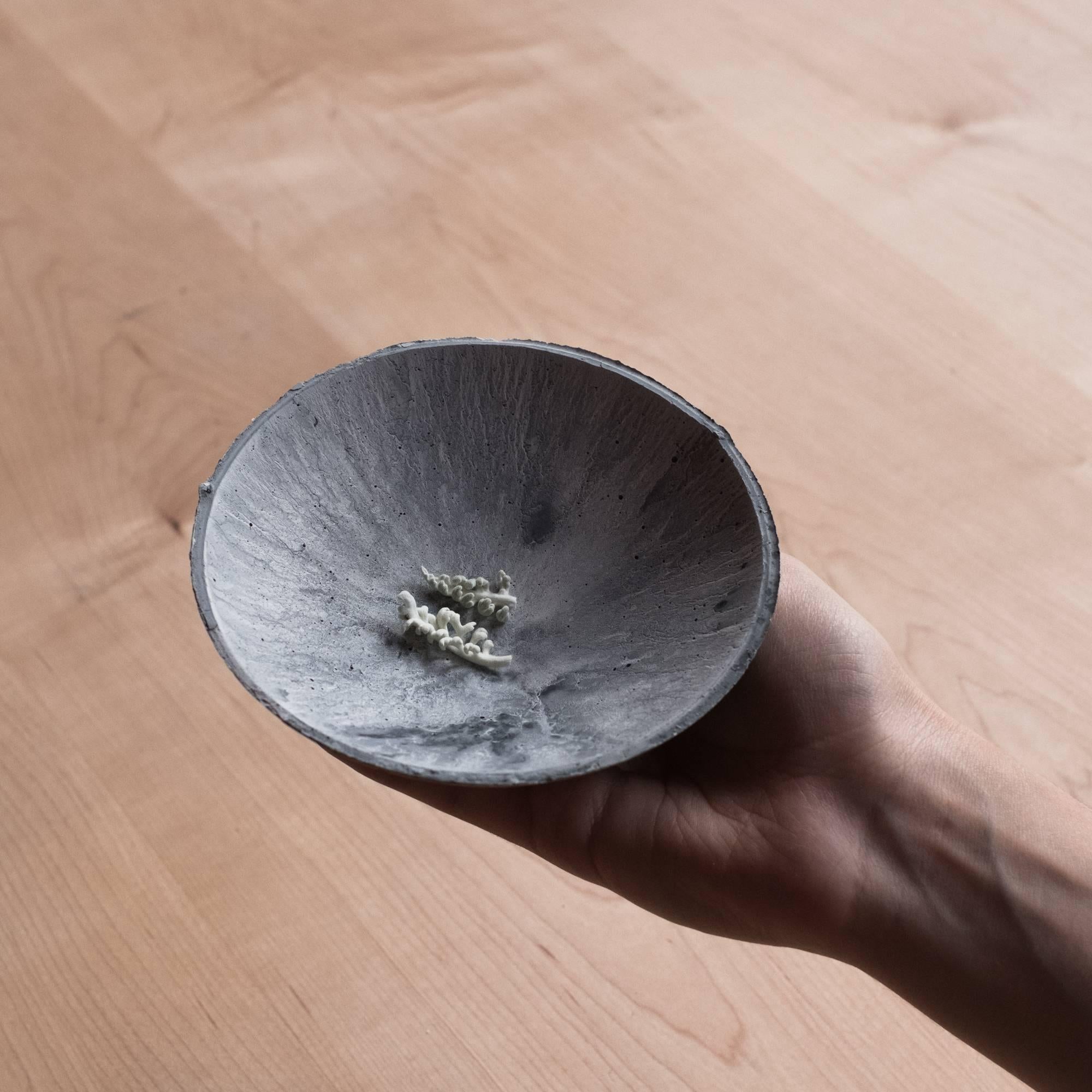 Handgefertigte Schale aus Gussbeton in Grau von UMÉ Studio, Set aus drei kleinen Schalen im Angebot 1