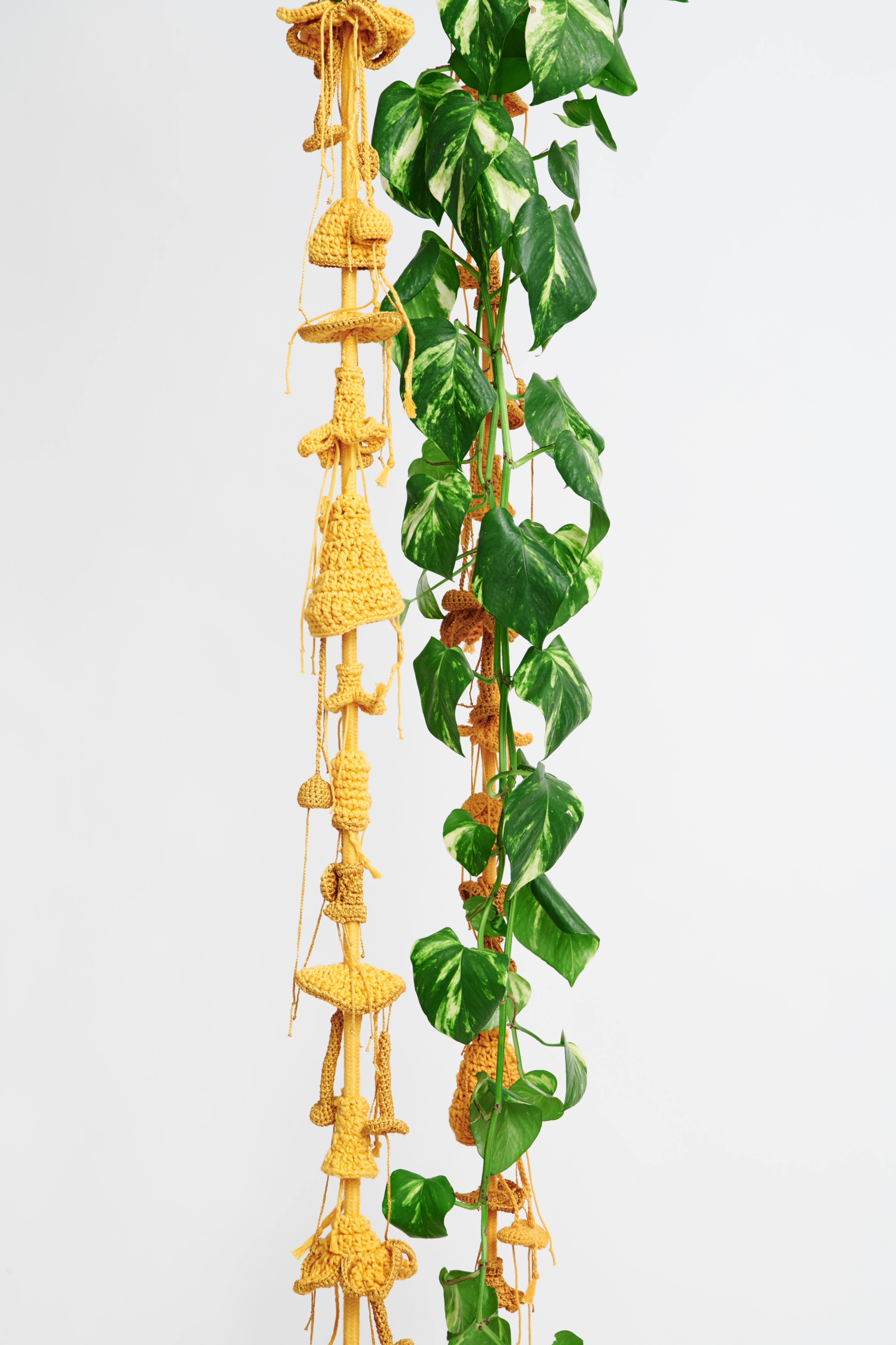 Gold Textil Swing Handgehäkelt aus Baumwolle & Polyester mit Sitz aus Eichenholz im Zustand „Neu“ im Angebot in Tel Aviv, IL