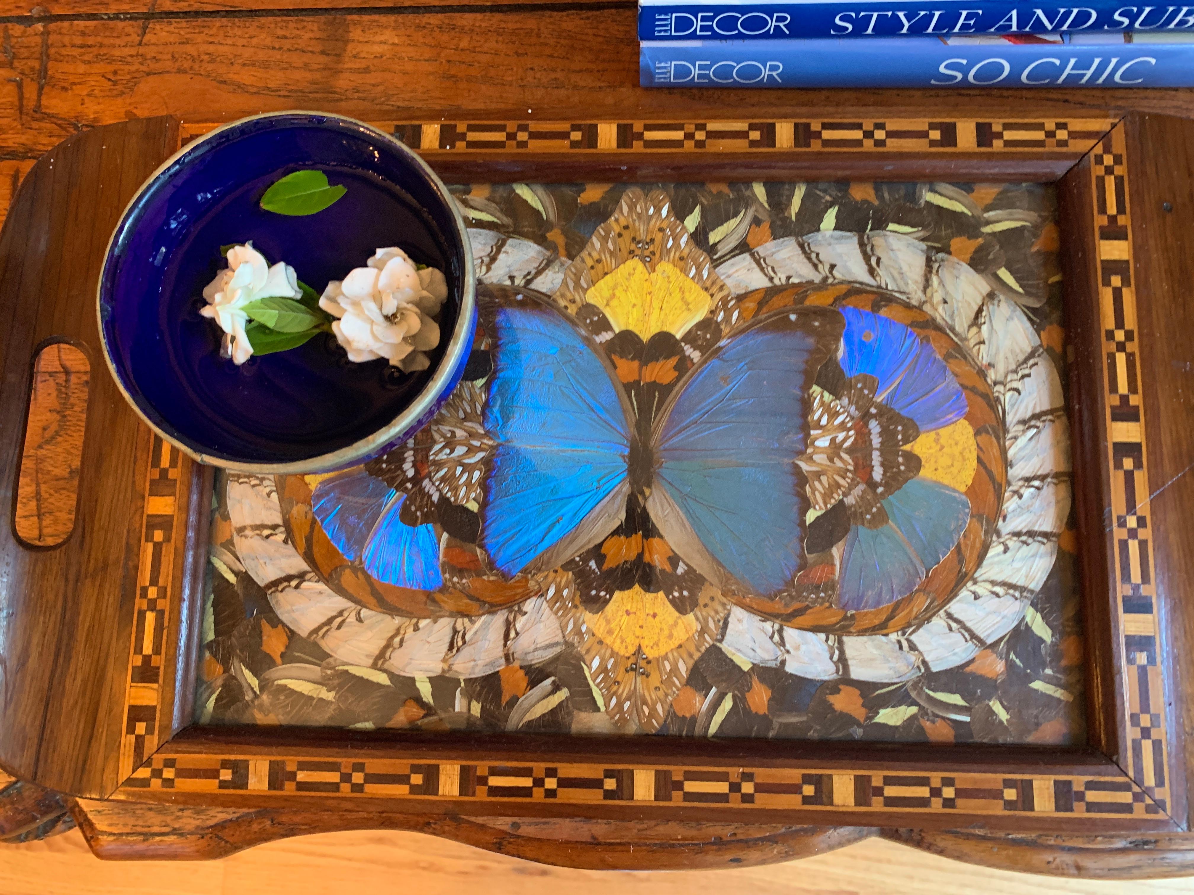 A rare and unique wooden tray with cut out handles and a wonderfully intricate inlay wood / marquetry perimeter with meticulous detailed collage of positioned Butterfly wing details making for a stunning Pattern and base - covered with glass for