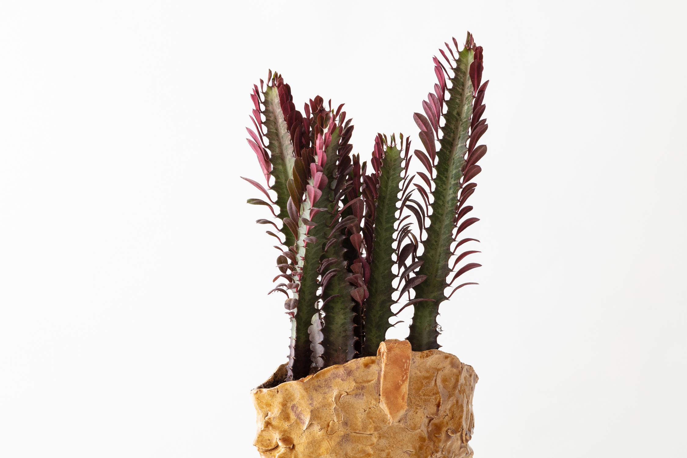 Modern Handmade Glazed Earthenware Boot Planter Unique Edition